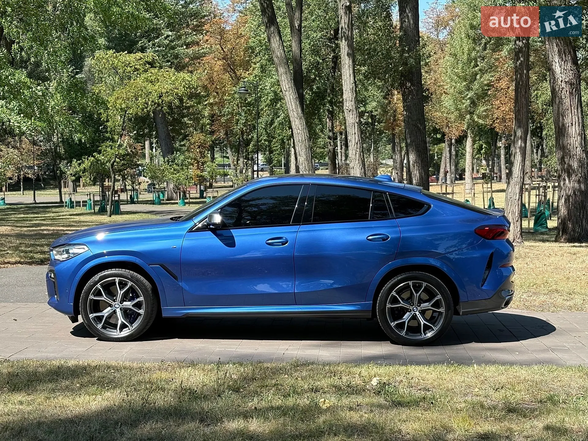 2019 BMW X6 - мініатюра 13