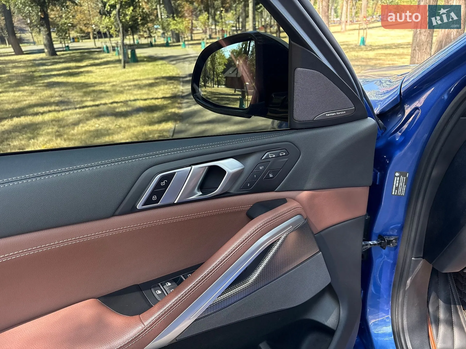 2019 BMW X6 - мініатюра 30