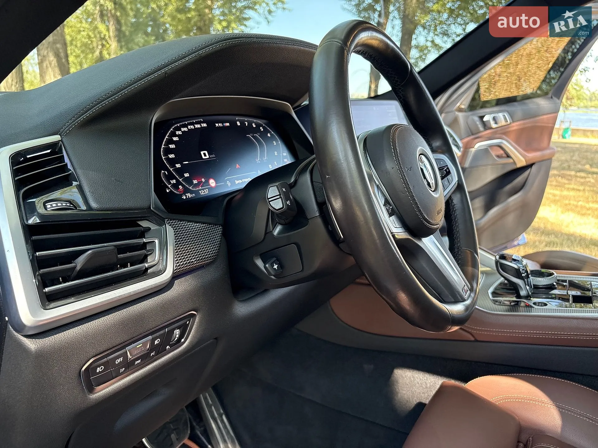 2019 BMW X6 - мініатюра 33