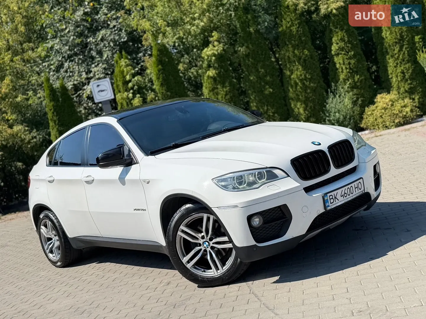 2013 BMW X6 - мініатюра 2