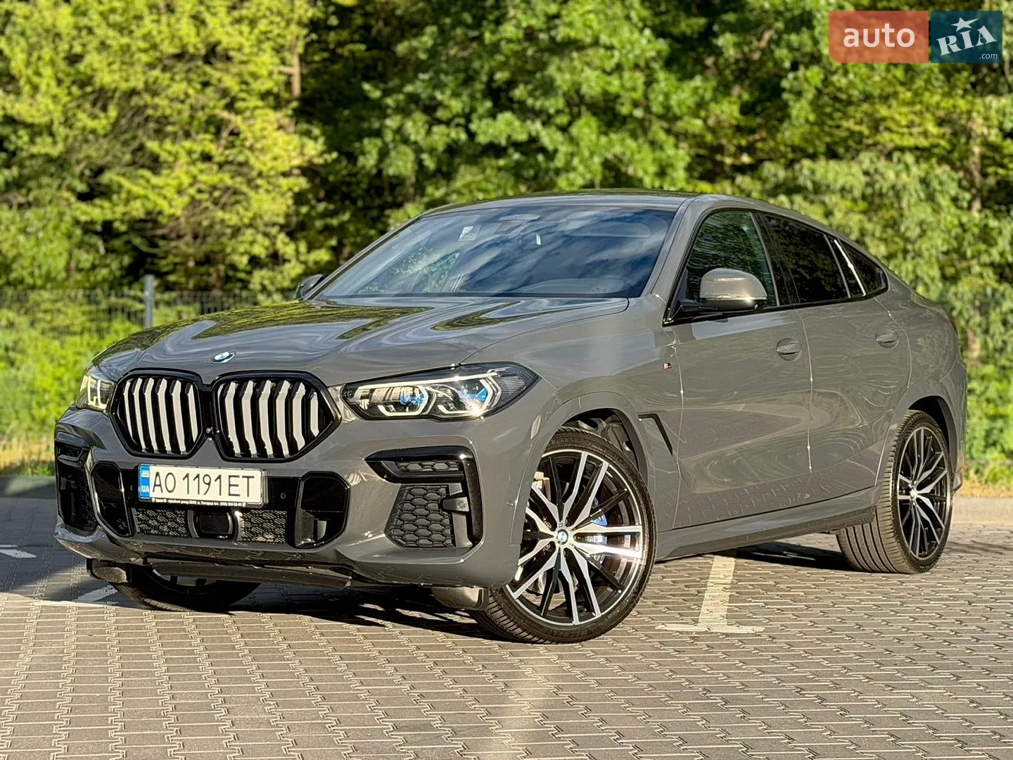 2021 BMW X6 - мініатюра 41