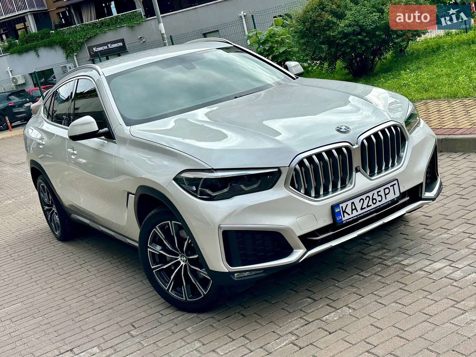 2019 BMW X6 - мініатюра 59