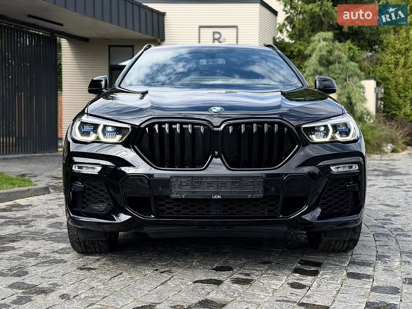 2021 BMW X6 - мініатюра 3