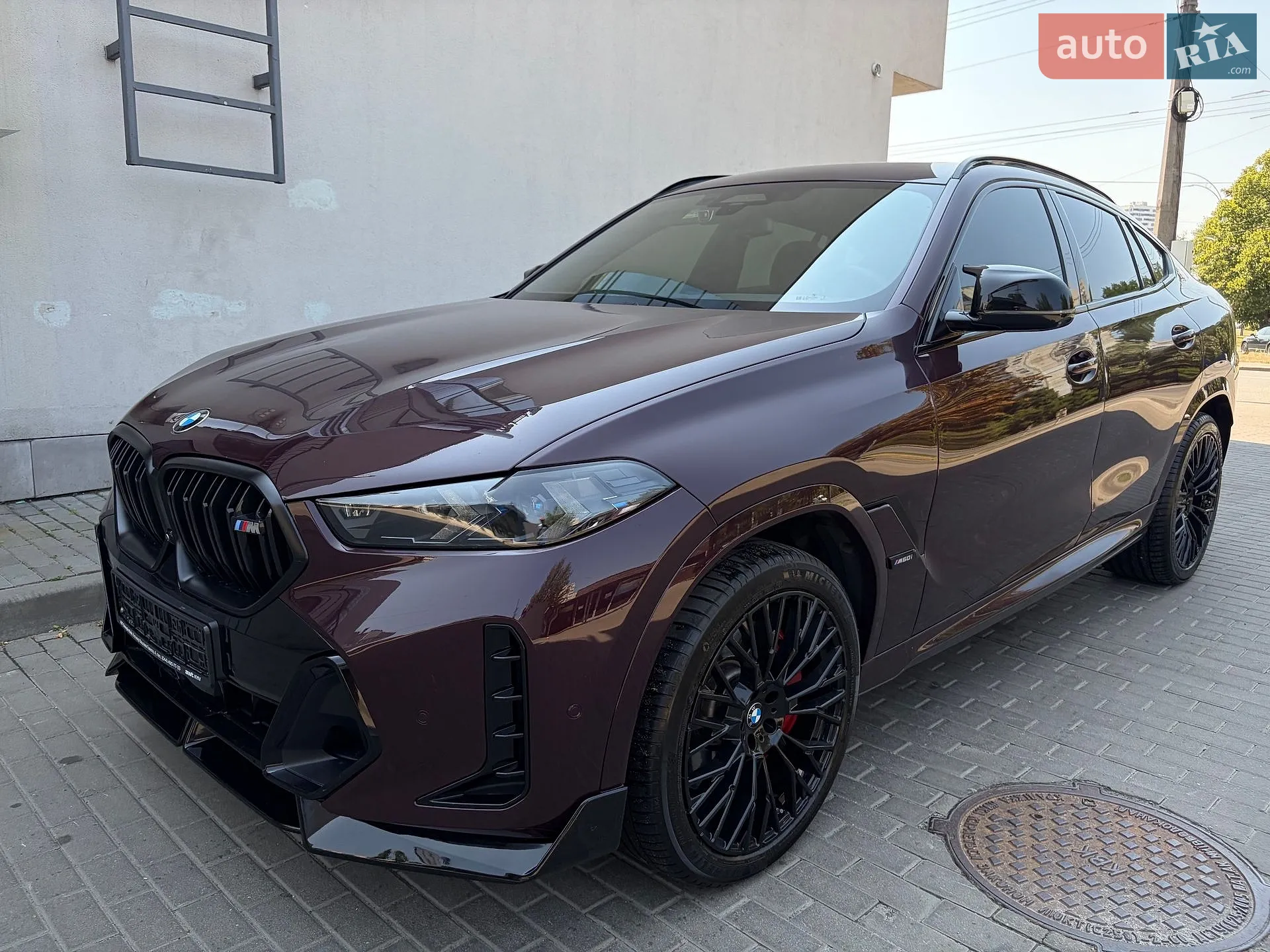 2023 BMW X6 - мініатюра 37