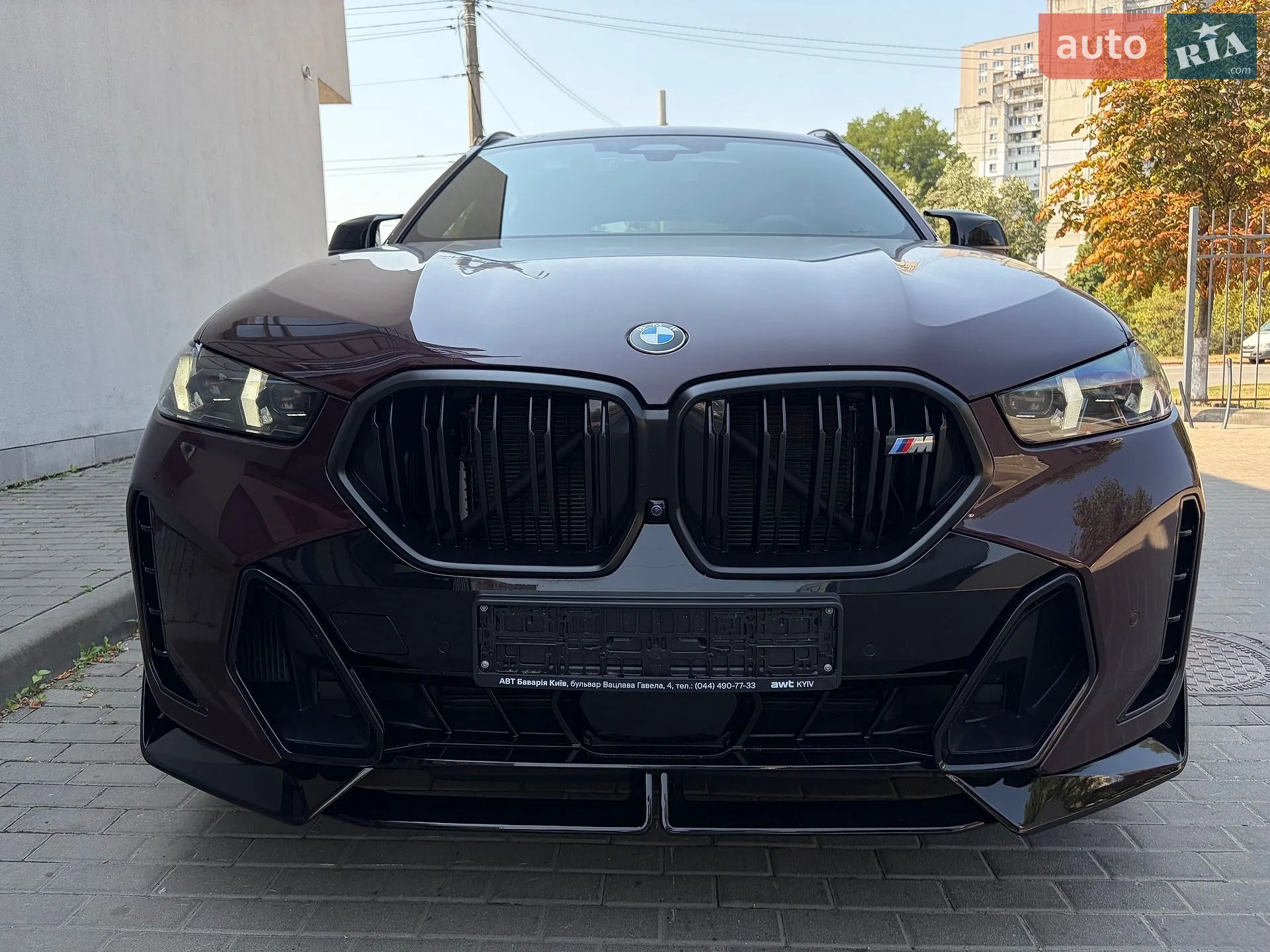 2023 BMW X6 - мініатюра 46