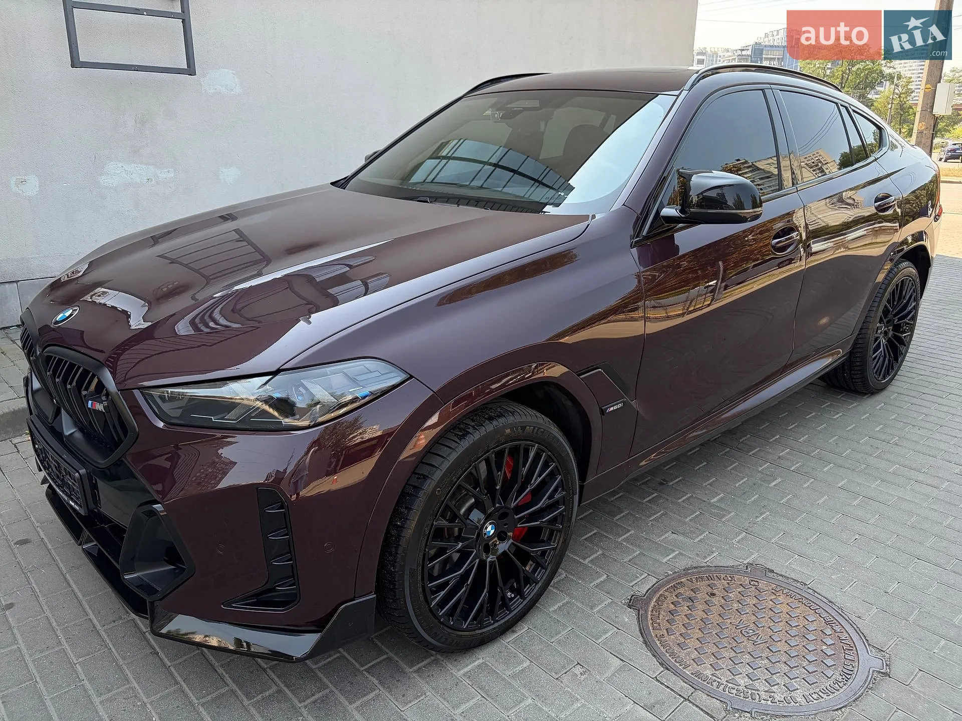 2023 BMW X6 - мініатюра 66