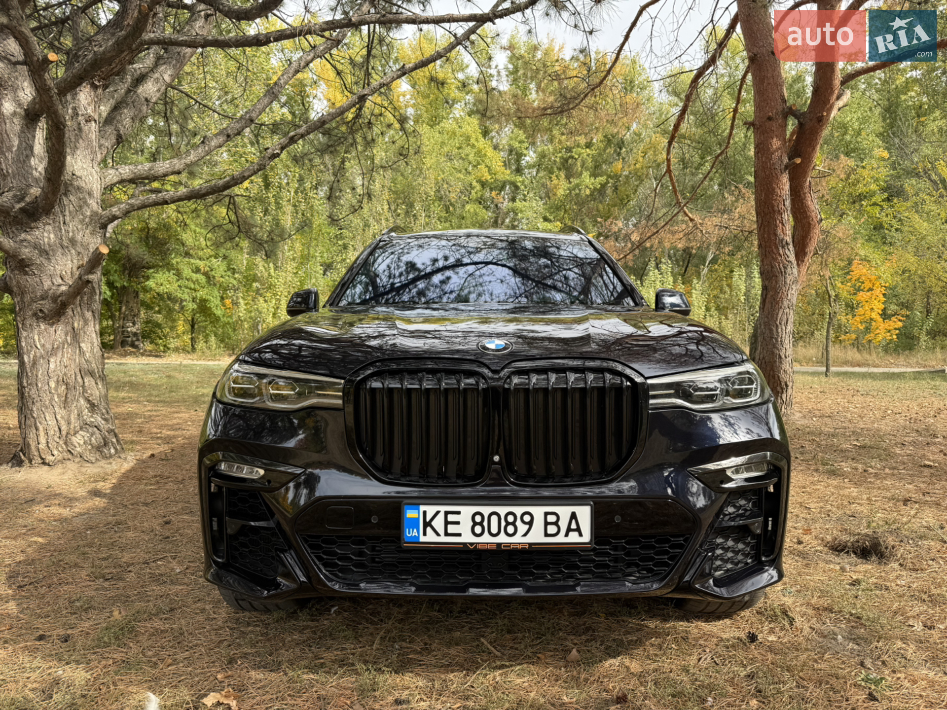 2019 BMW X7 - мініатюра 40