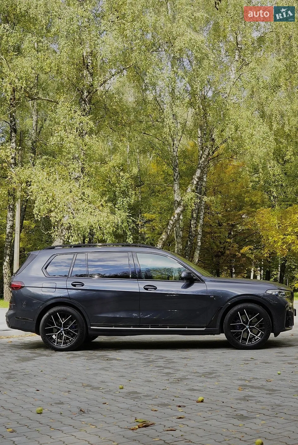 2019 BMW X7 - мініатюра 3
