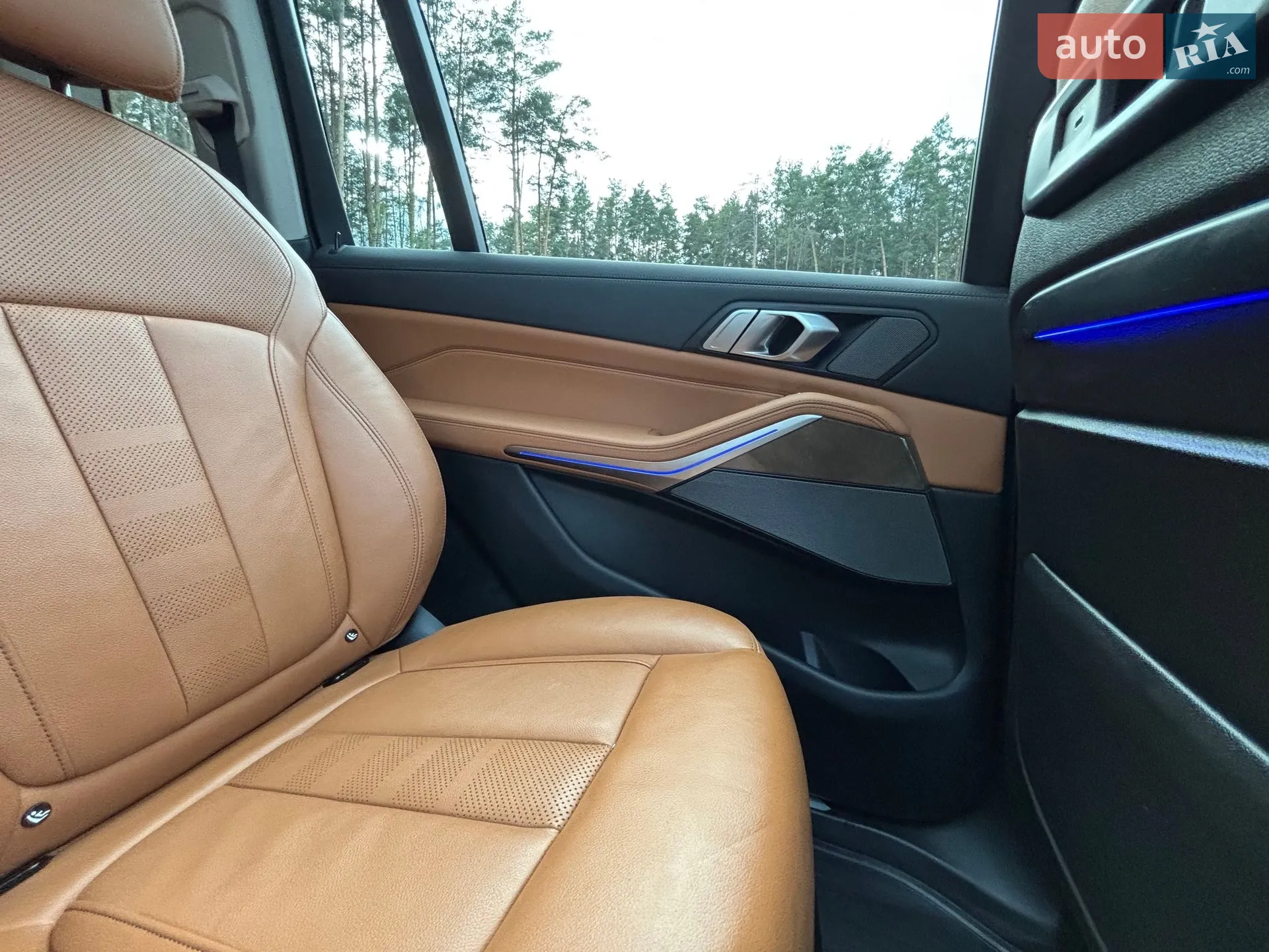 2019 BMW X7 - мініатюра 52