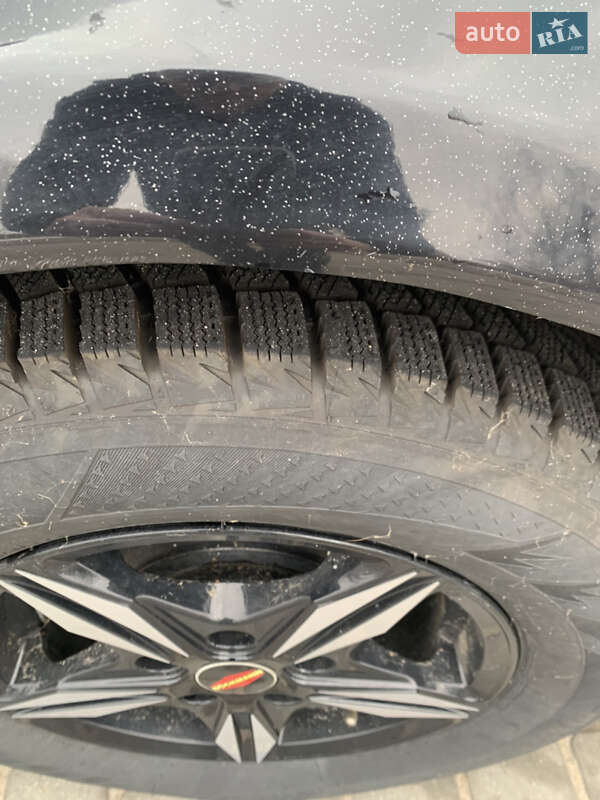 Для перевезення тварин - прицеп Bockmann DK 2019 в Києві