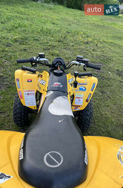 Квадроцикл спортивний BRP DS 250 2008 в 