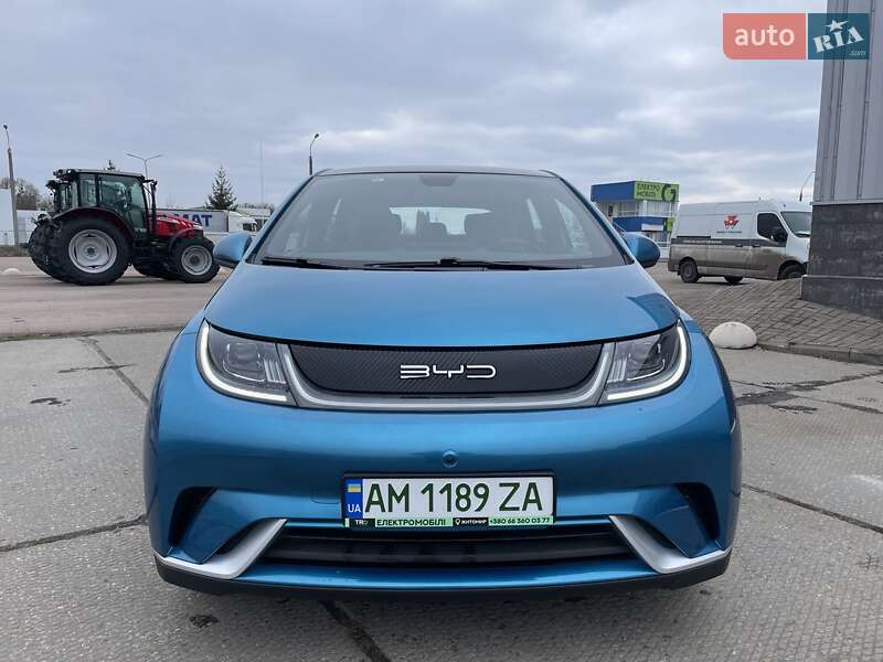 Хетчбек BYD Dolphin 2023 в Житомирі