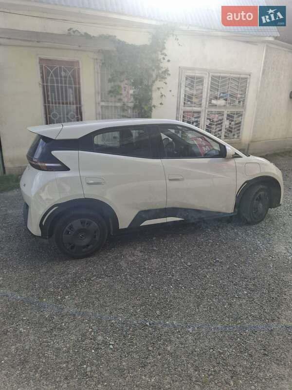 Хэтчбек BYD Seagull 2024 в Черновцах