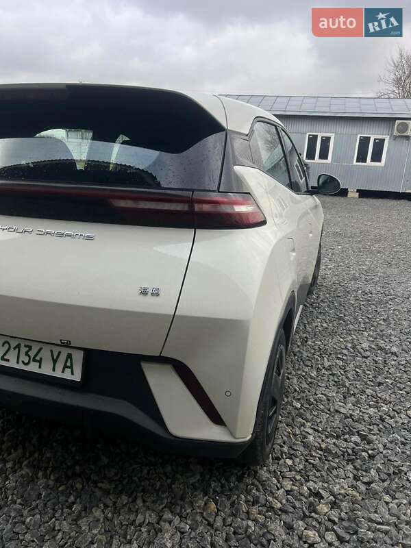 Хэтчбек BYD Seagull 2023 в Черновцах