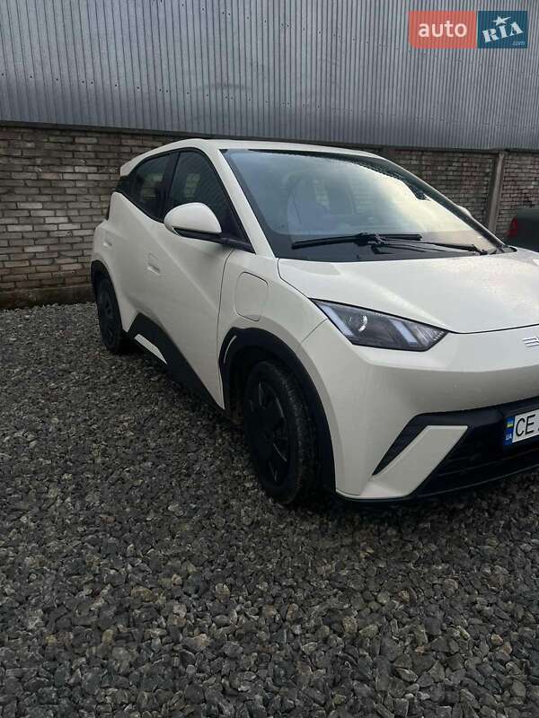 Хэтчбек BYD Seagull 2023 в Черновцах