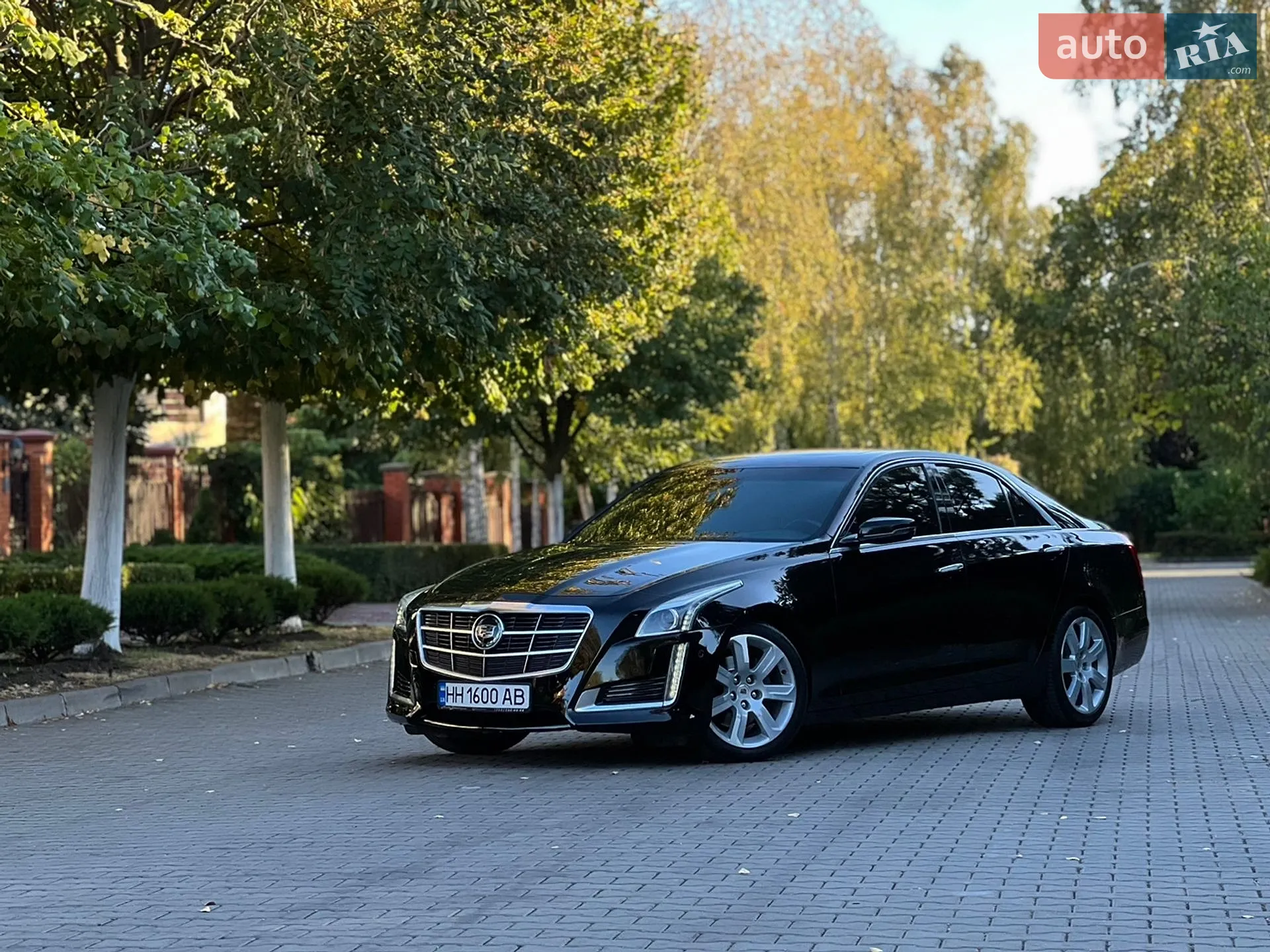 2013 Cadillac CTS - мініатюра 6