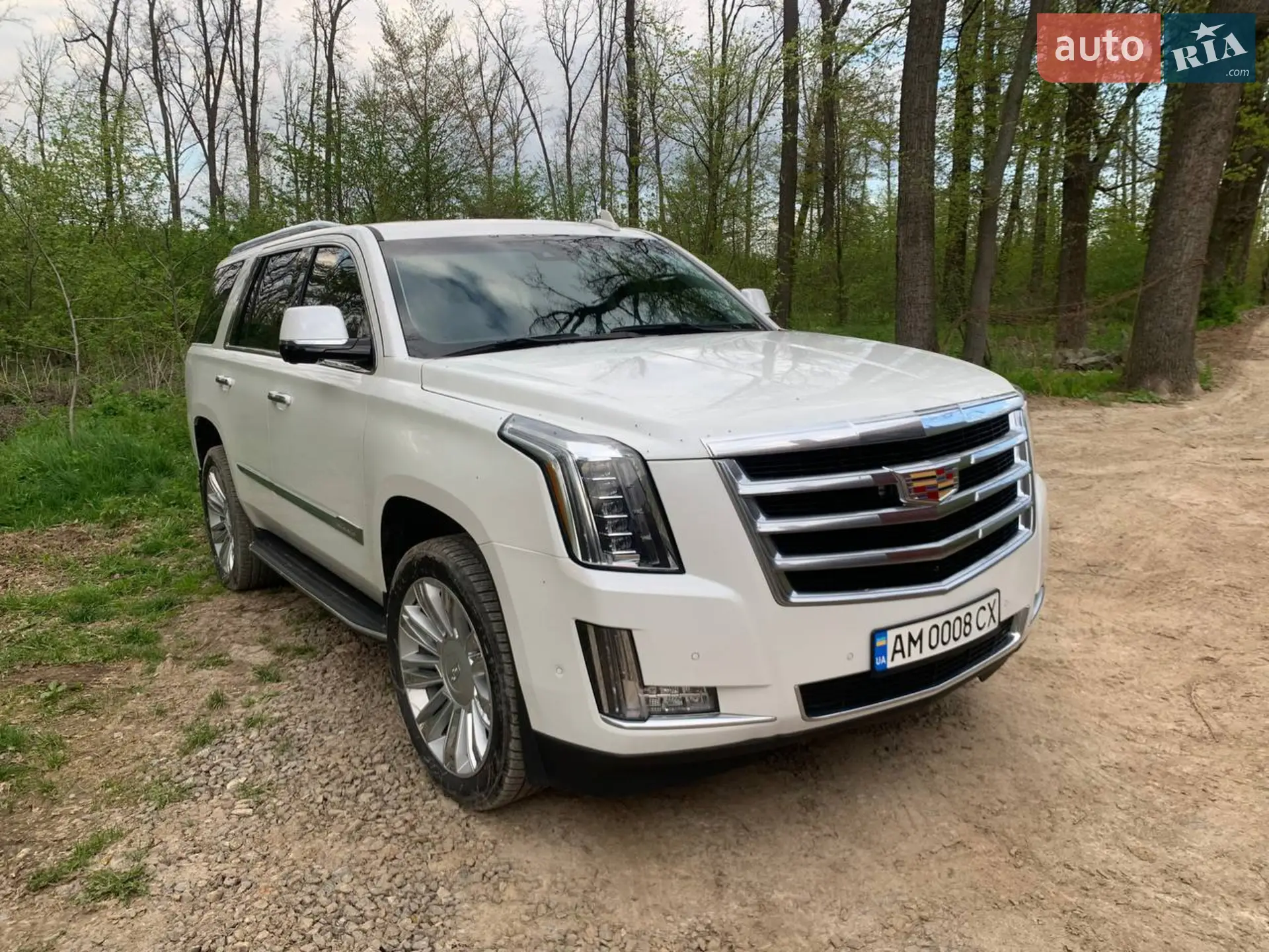 2019 Cadillac Escalade - мініатюра 11