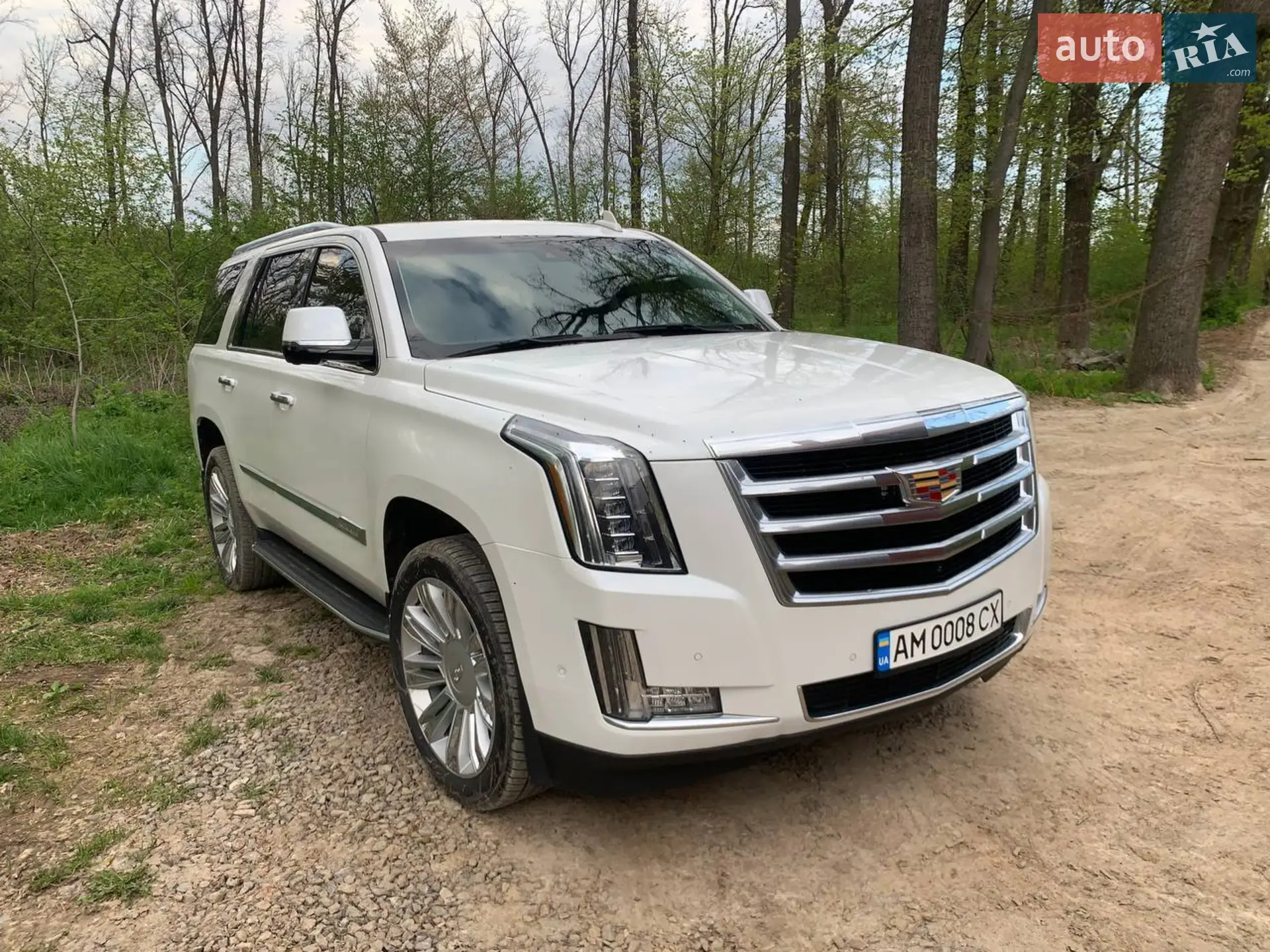2019 Cadillac Escalade - мініатюра 10