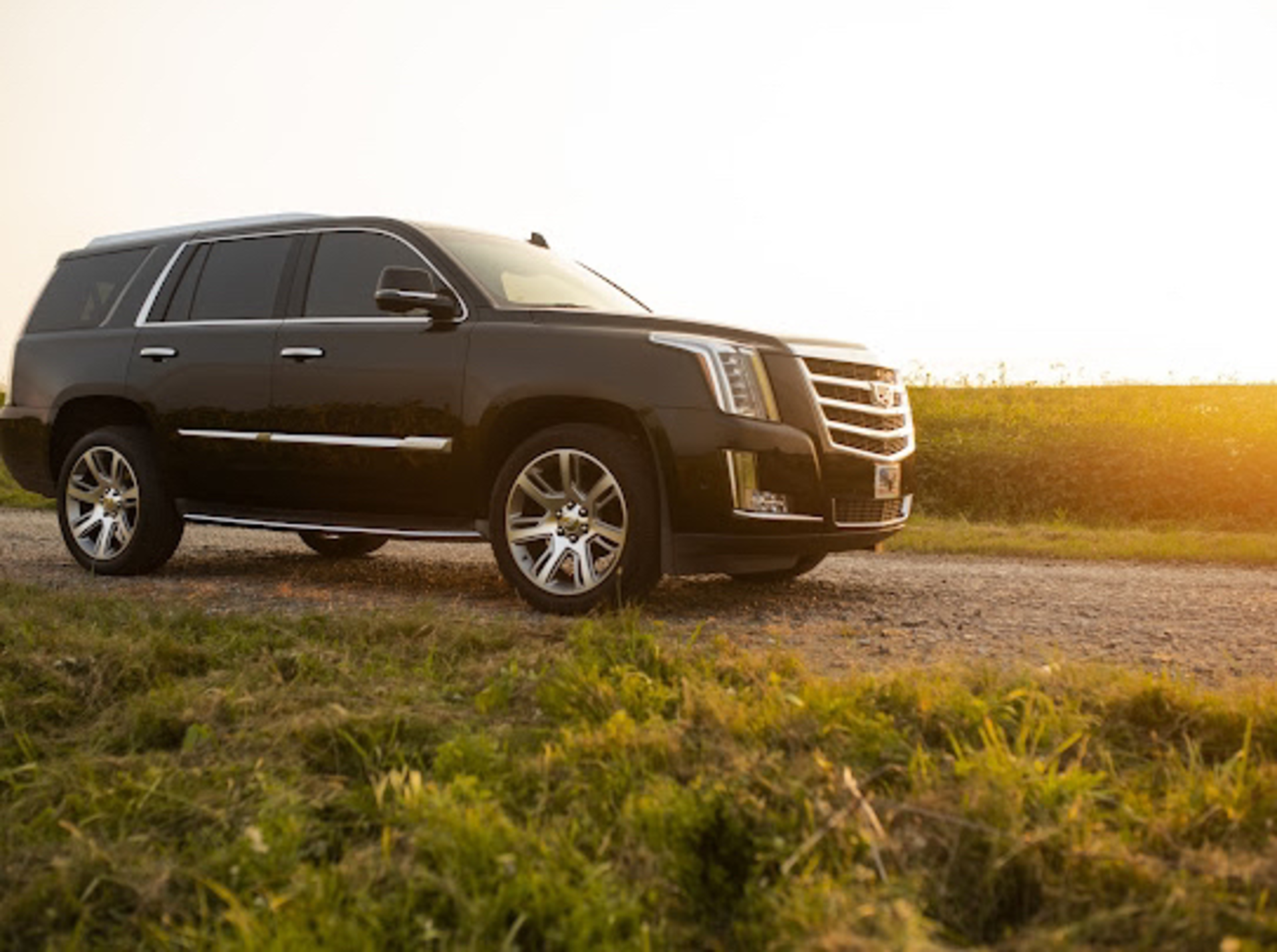 2019 Cadillac Escalade - мініатюра 3