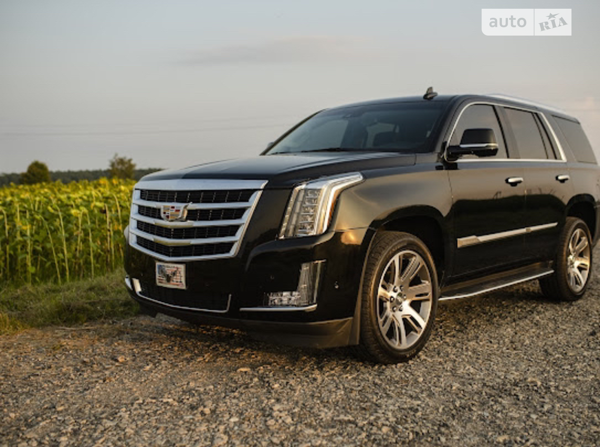 2019 Cadillac Escalade - мініатюра 2