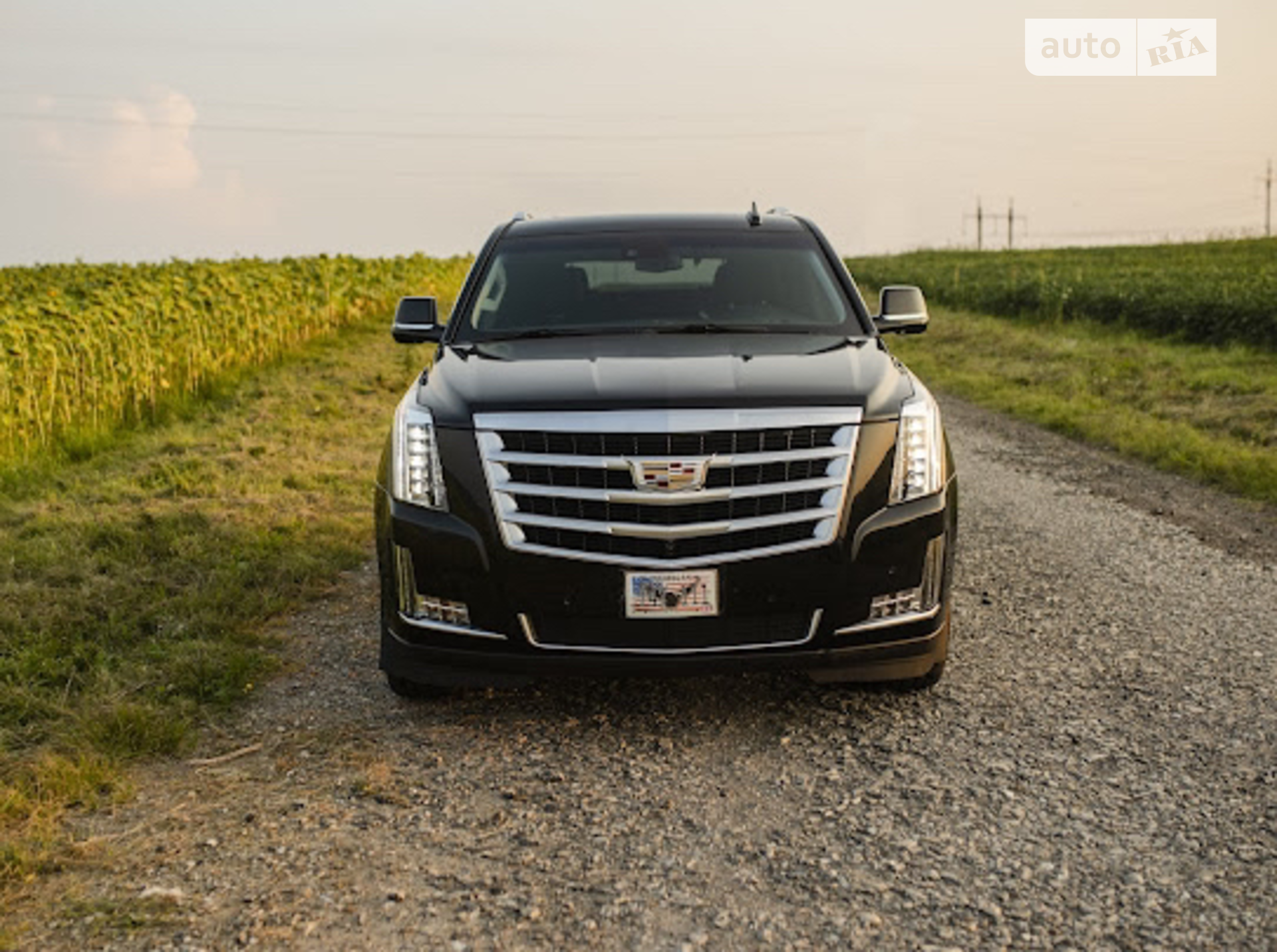 2019 Cadillac Escalade - мініатюра 10