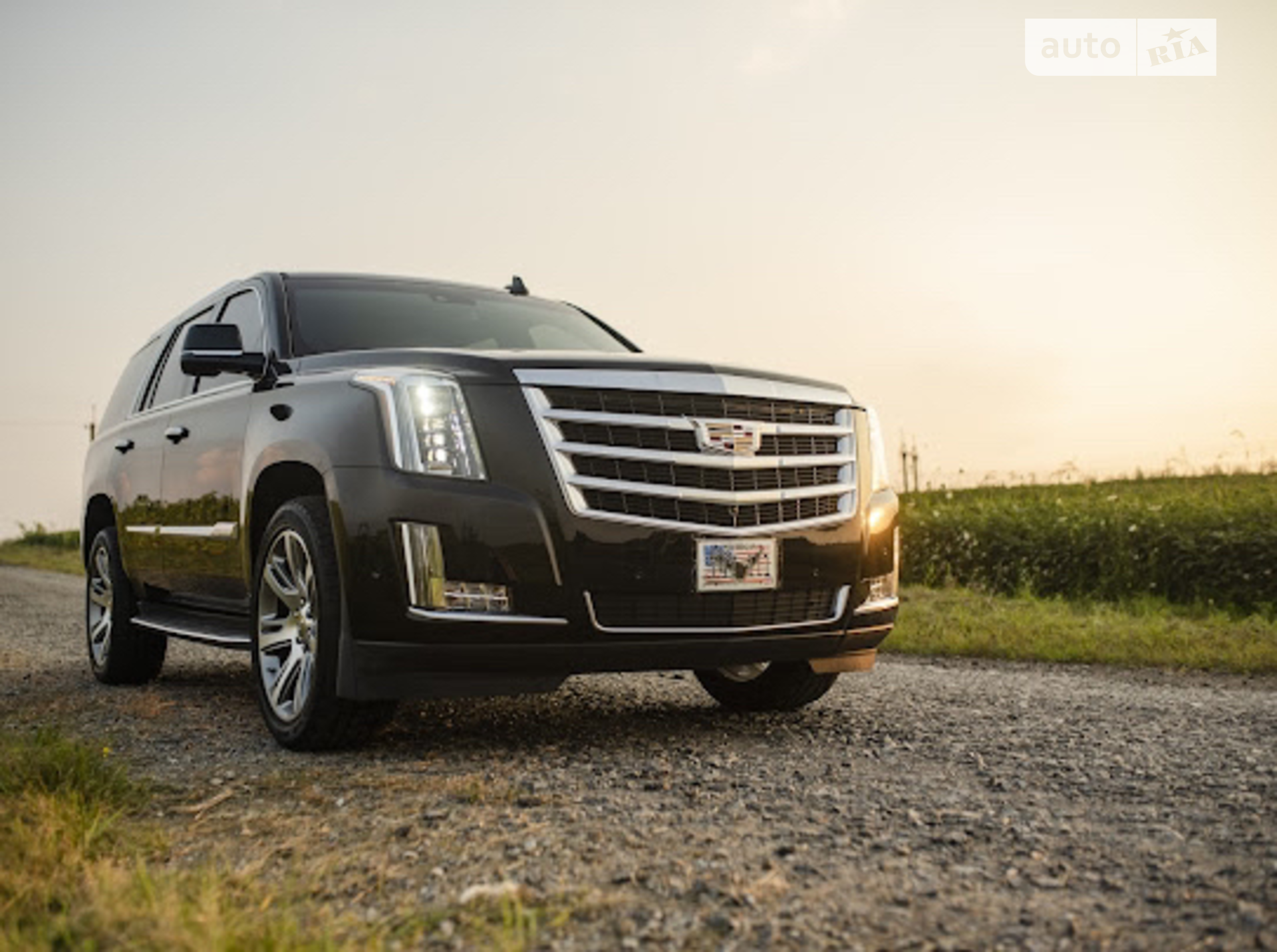 2019 Cadillac Escalade - фото 1
