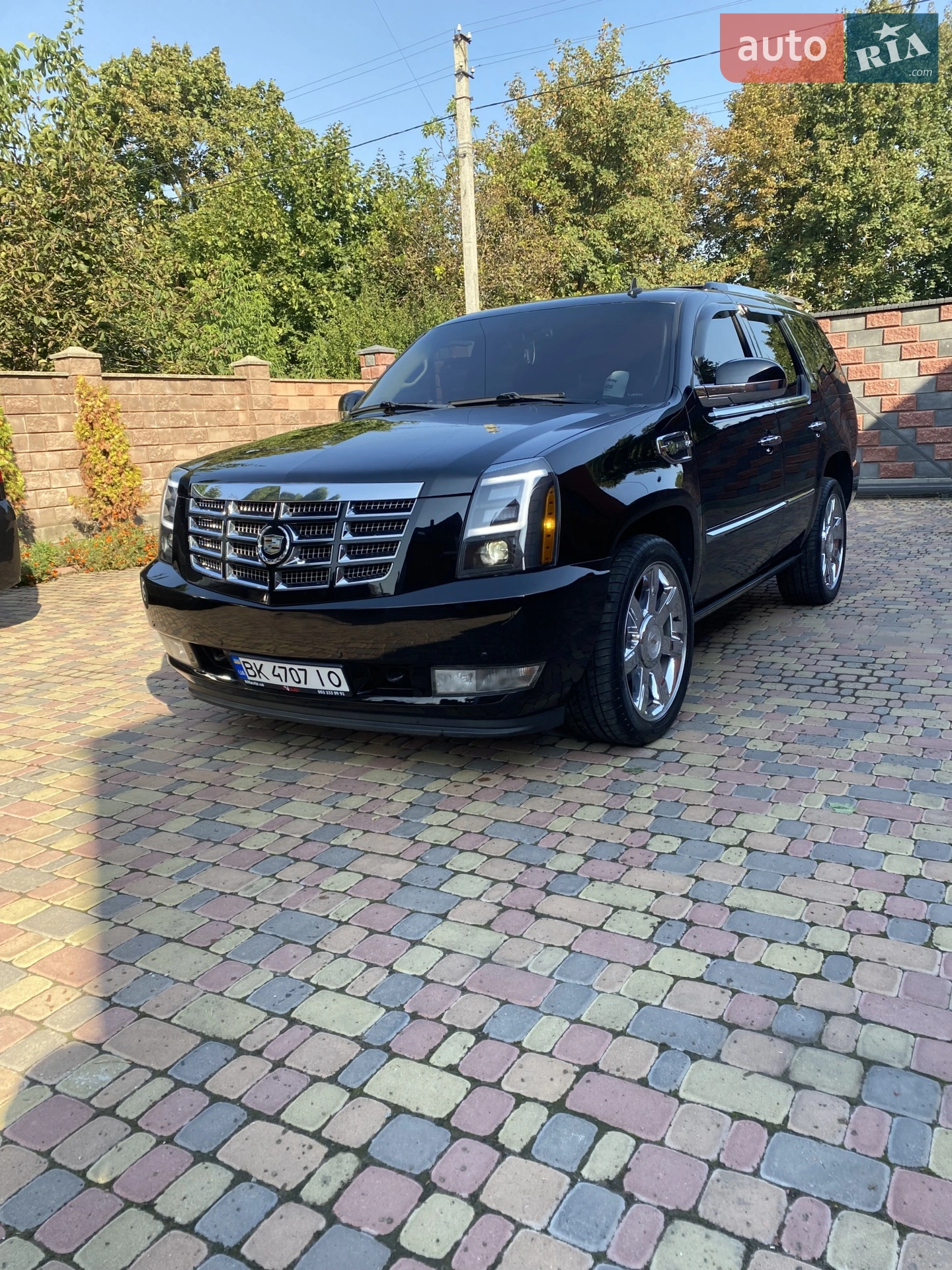 2010 Cadillac Escalade - мініатюра 8