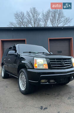 Позашляховик / Кросовер Cadillac Escalade 2002 в Переяславі