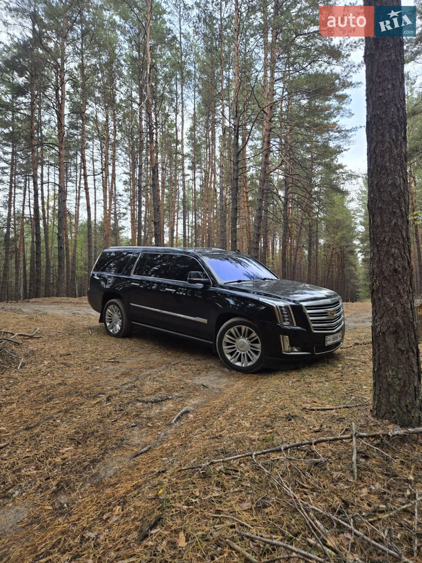 2017 Cadillac Escalade - мініатюра 54