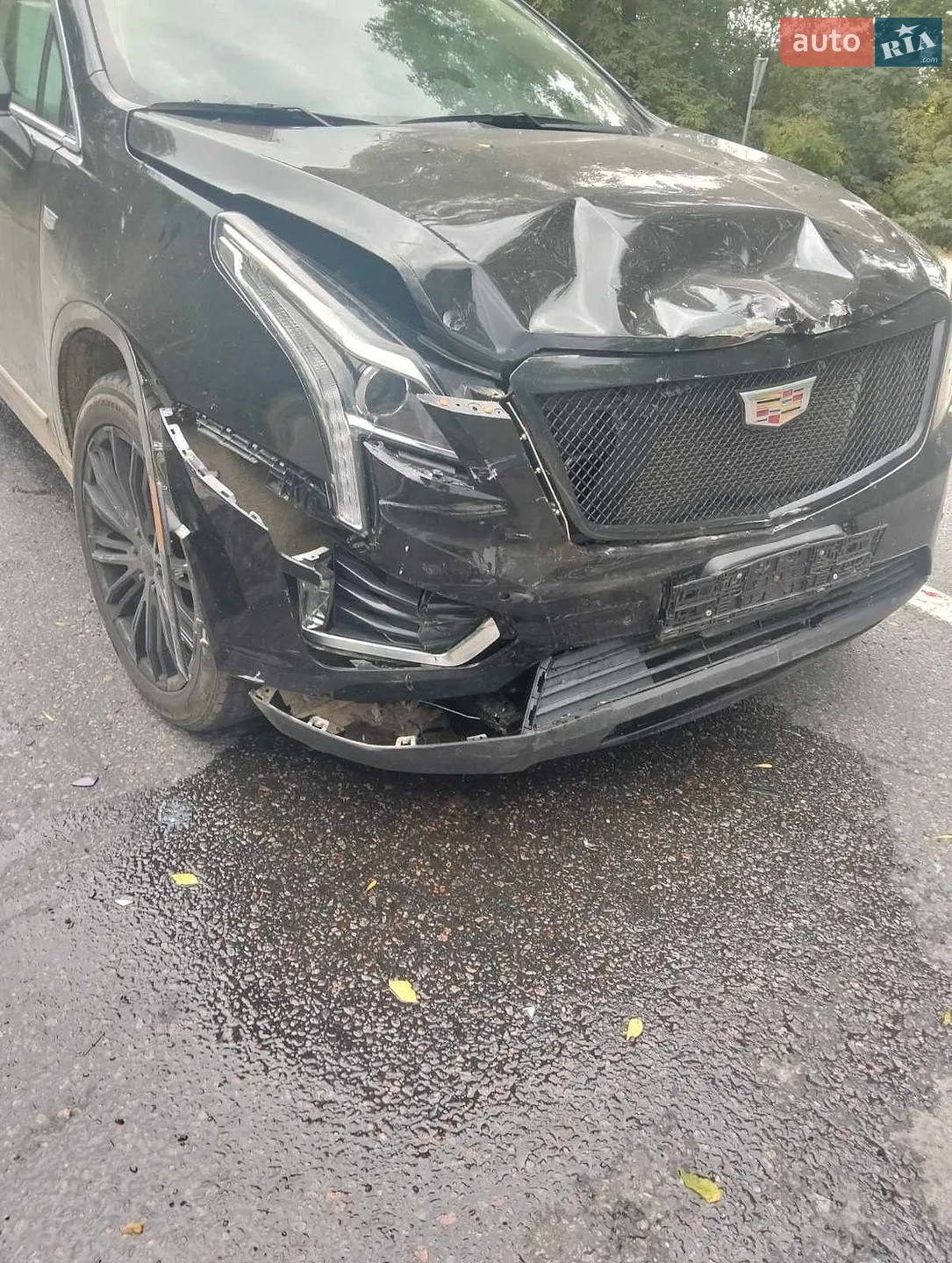 2019 Cadillac XT5 - мініатюра 12