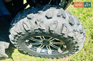 Квадроцикл  утилитарный CFMOTO CForce 450L EPS 2022 в 