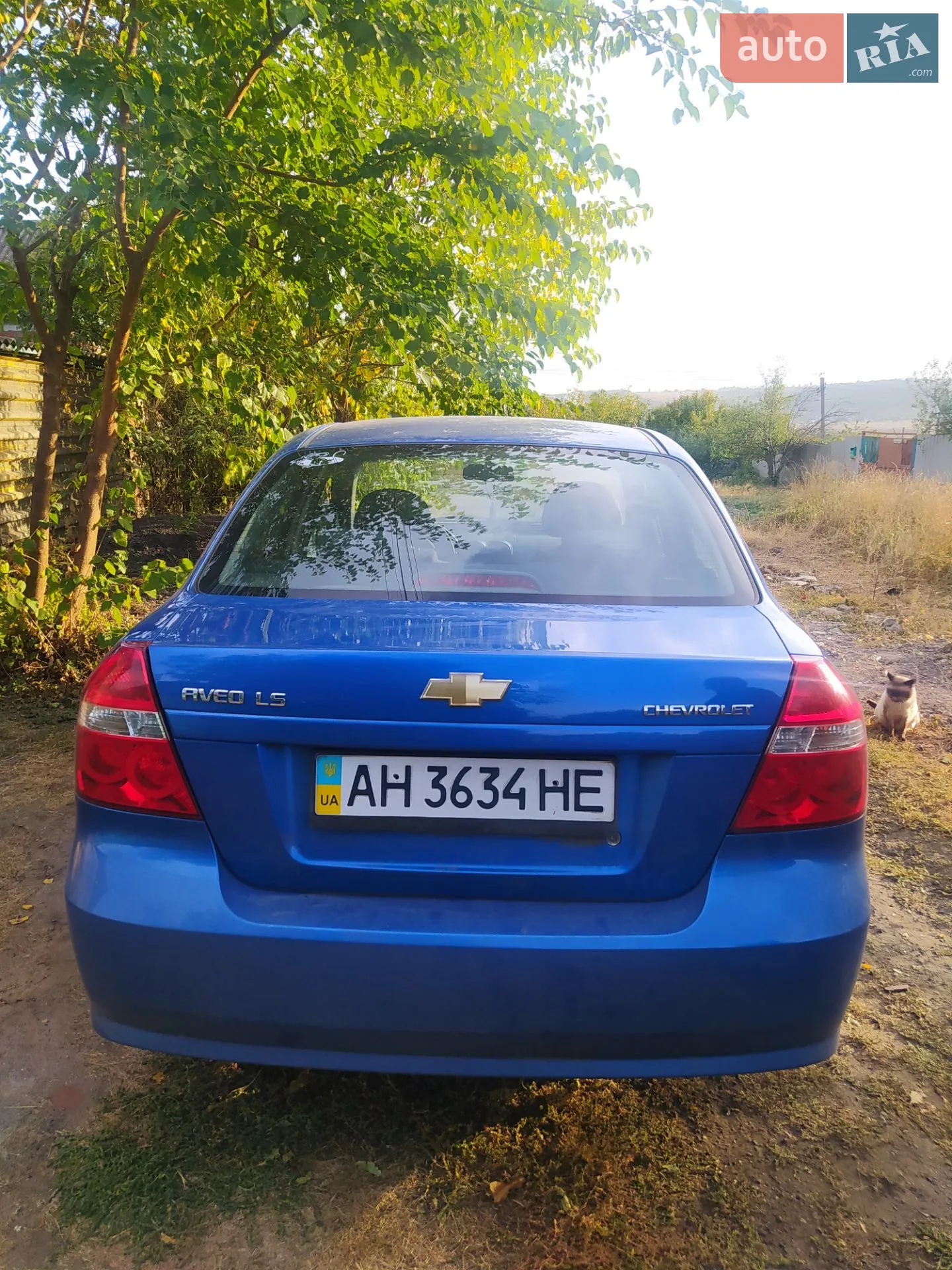 2010 Chevrolet Aveo - мініатюра 2