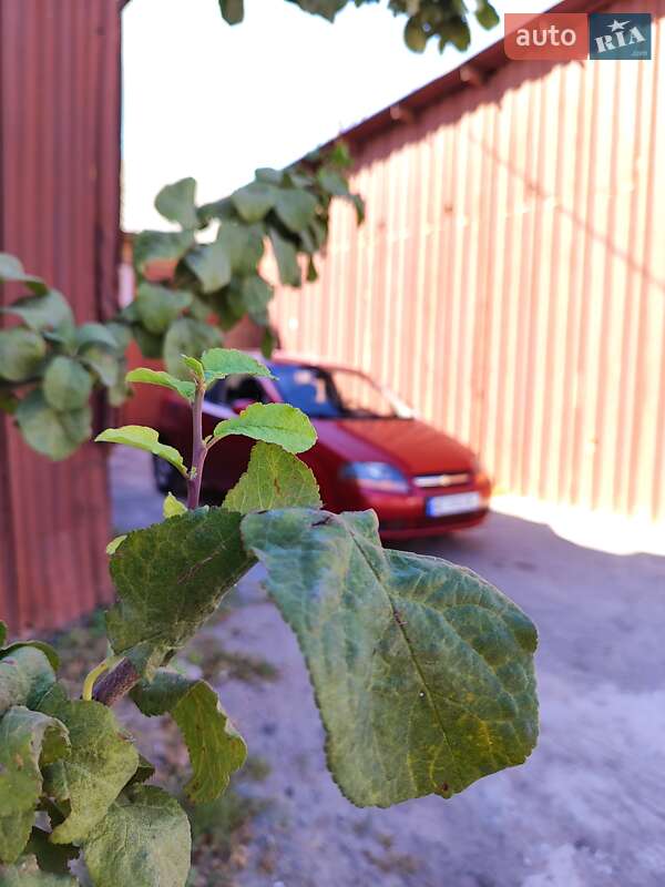 Хетчбек Chevrolet Aveo 2006 в Дніпрі