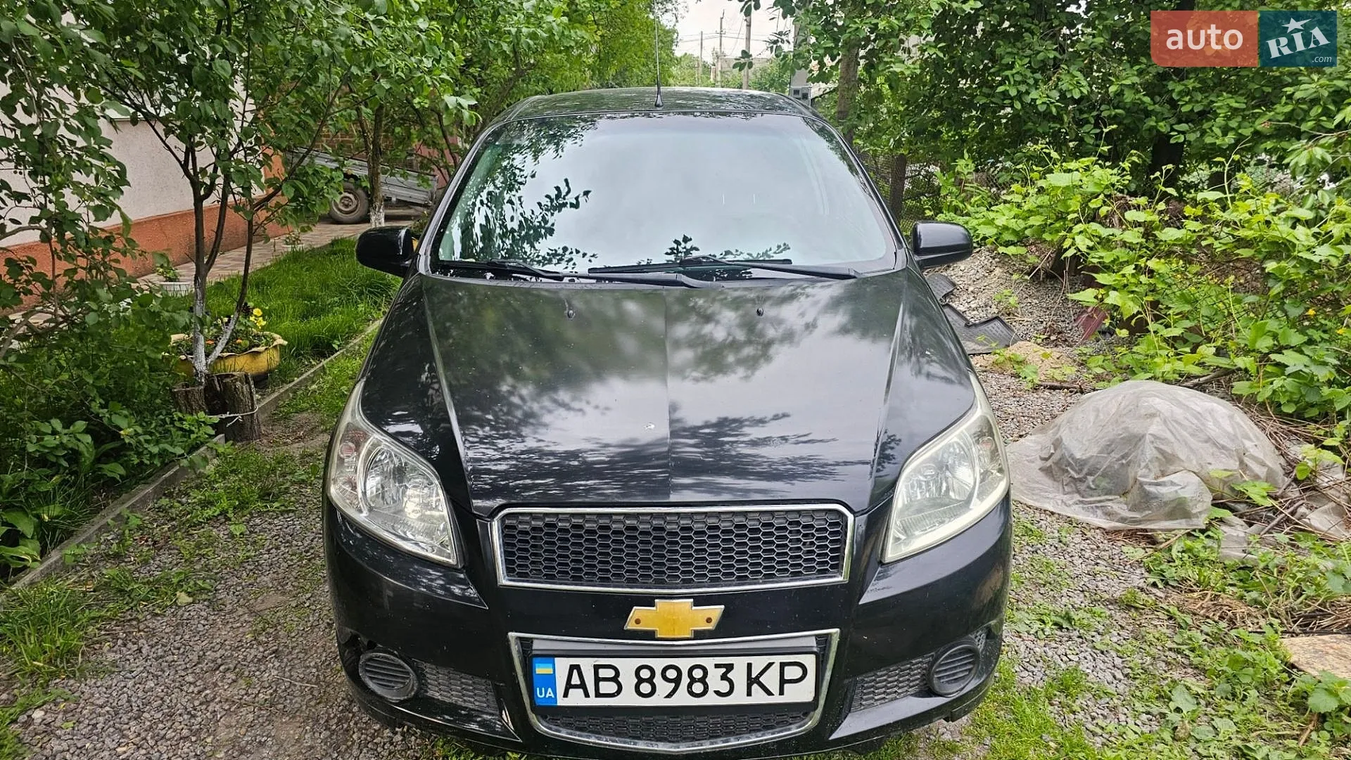 2011 Chevrolet Aveo - фото 1