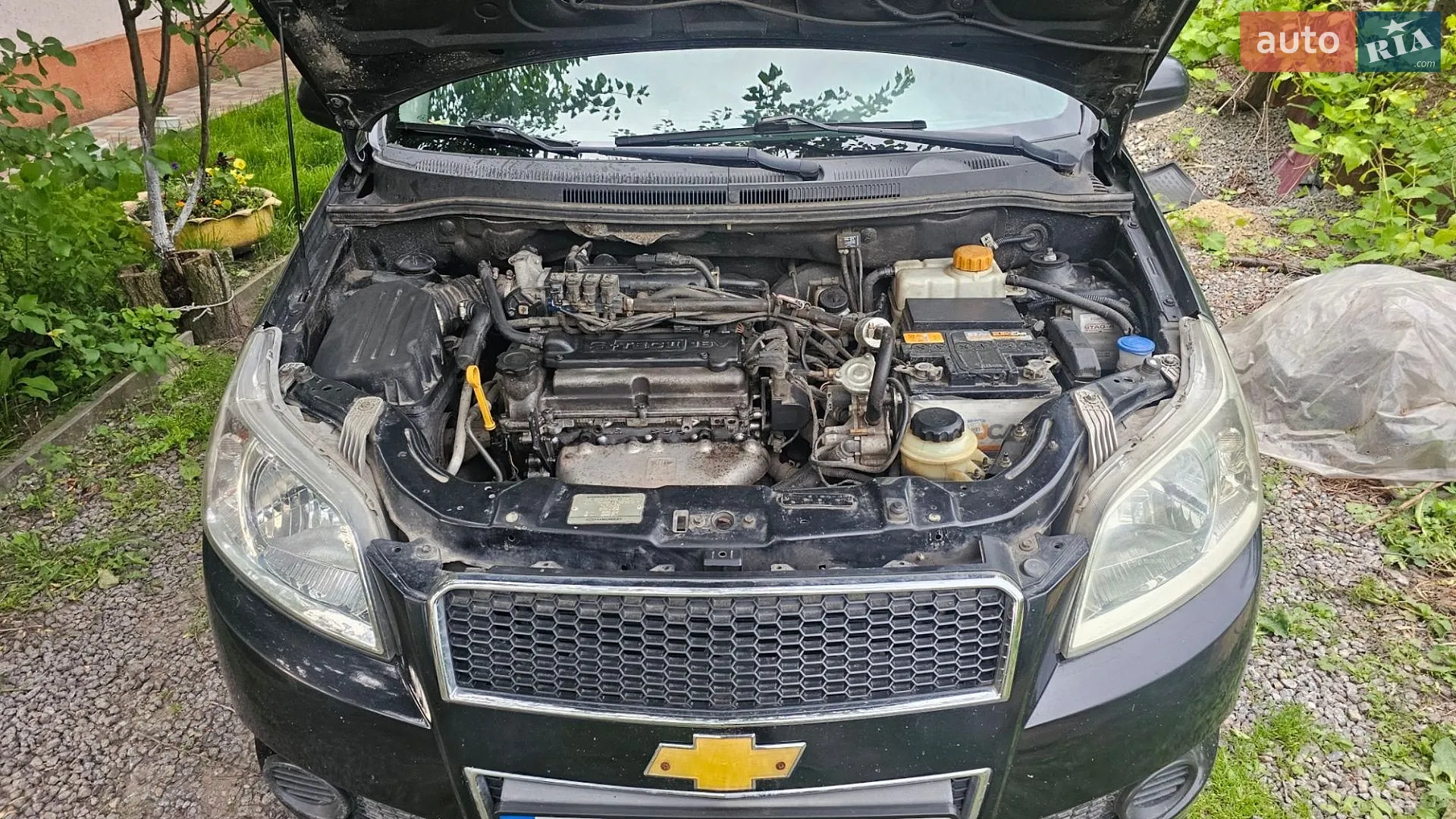 2011 Chevrolet Aveo - мініатюра 5