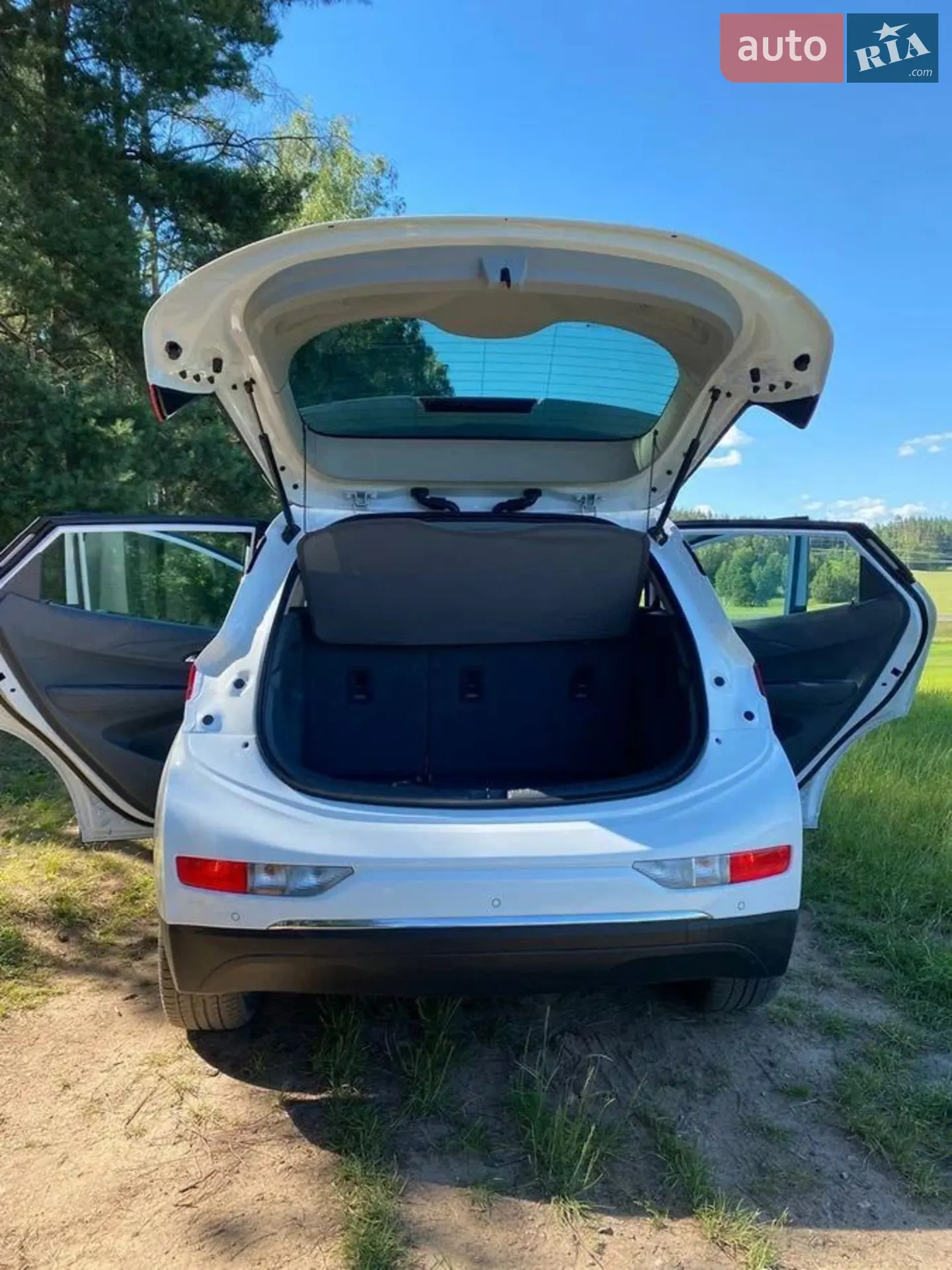 2019 Chevrolet Bolt EUV - мініатюра 11