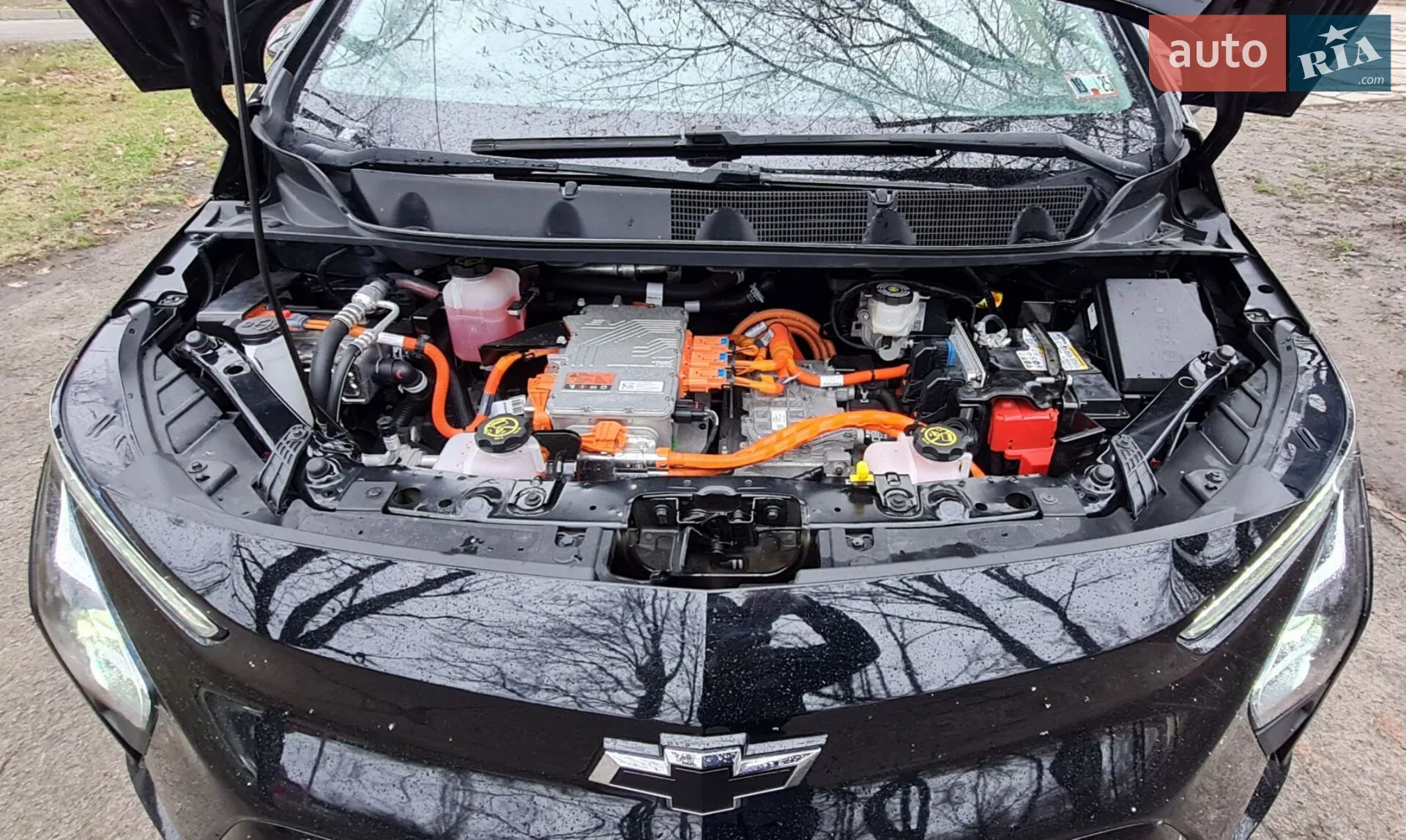 2022 Chevrolet Bolt EUV - мініатюра 7