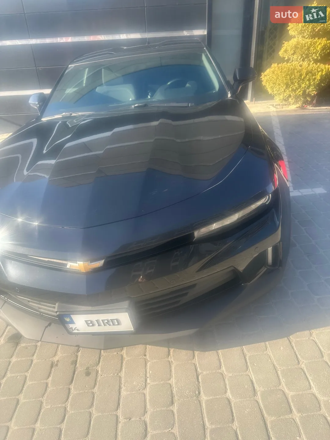 2016 Chevrolet Camaro - мініатюра 2