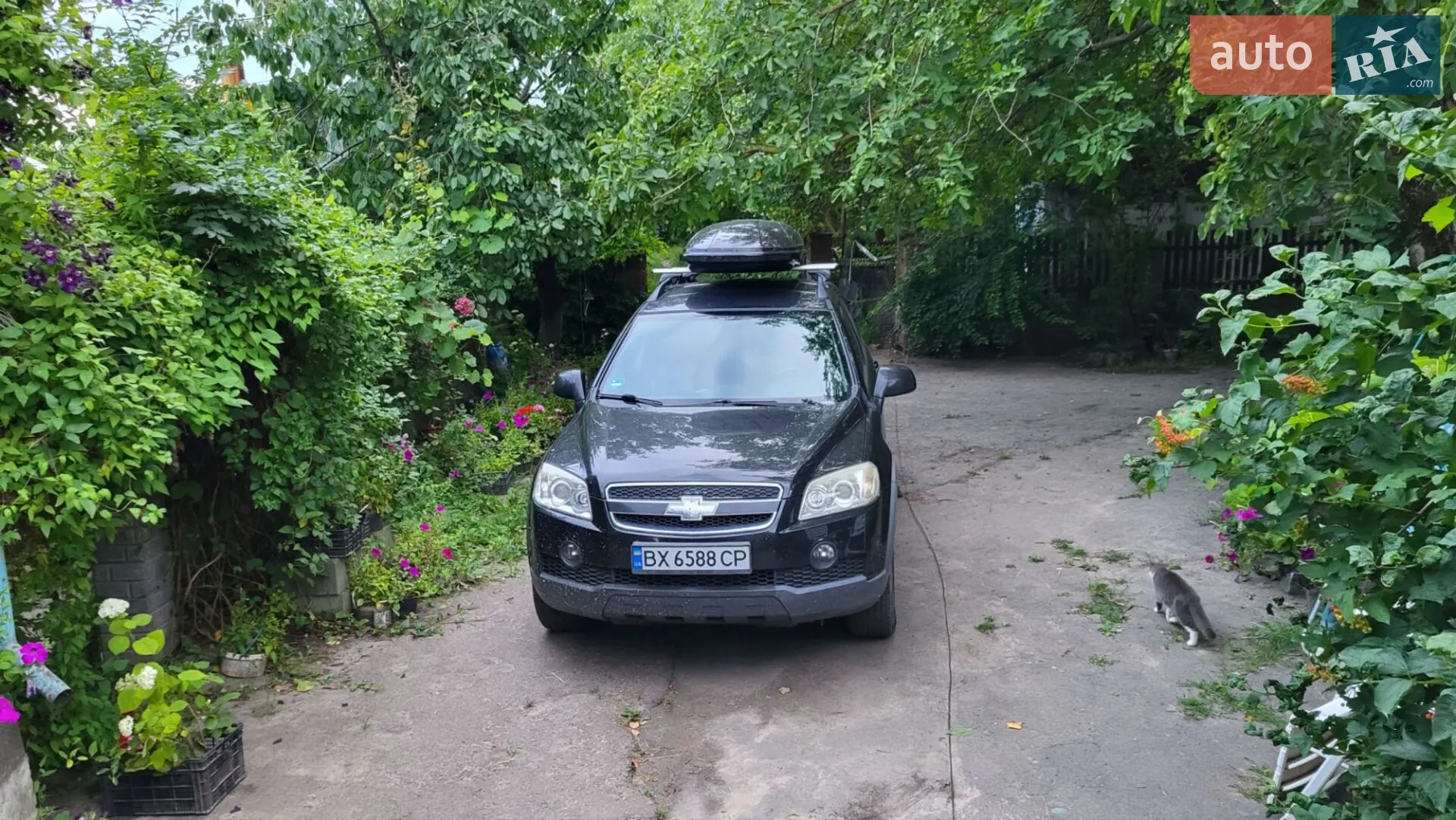 2010 Chevrolet Captiva - мініатюра 5
