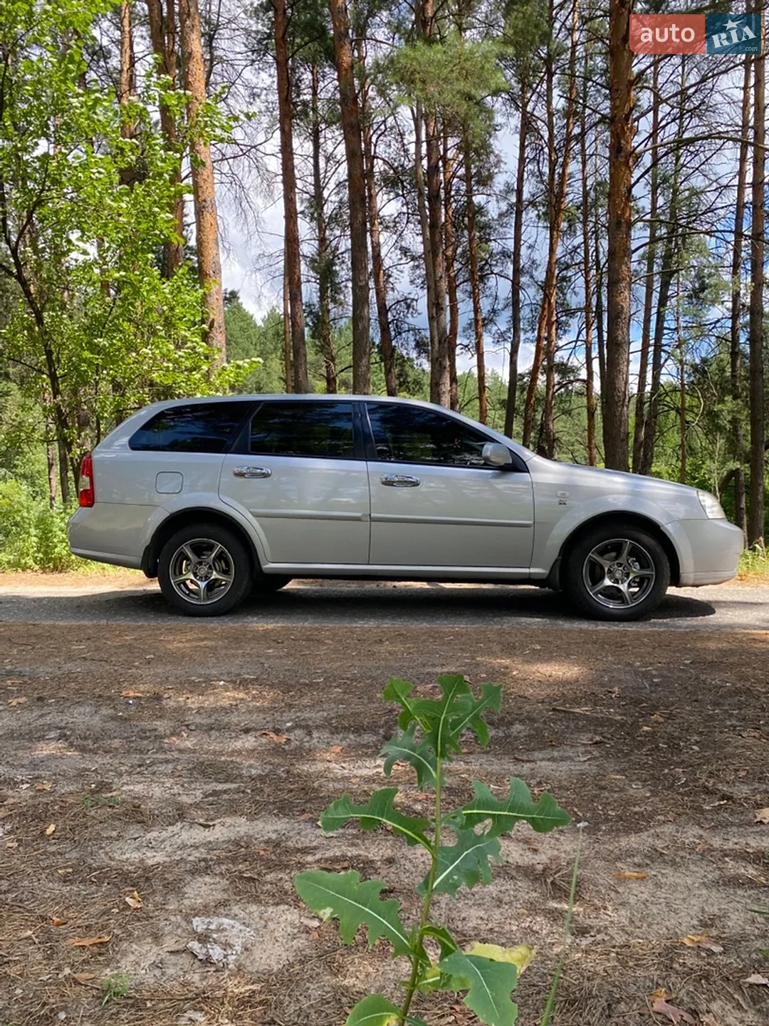 Chevrolet Lacetti 2006 VIN Y6DNF486E6K381204 фото оголошення 13 з 20