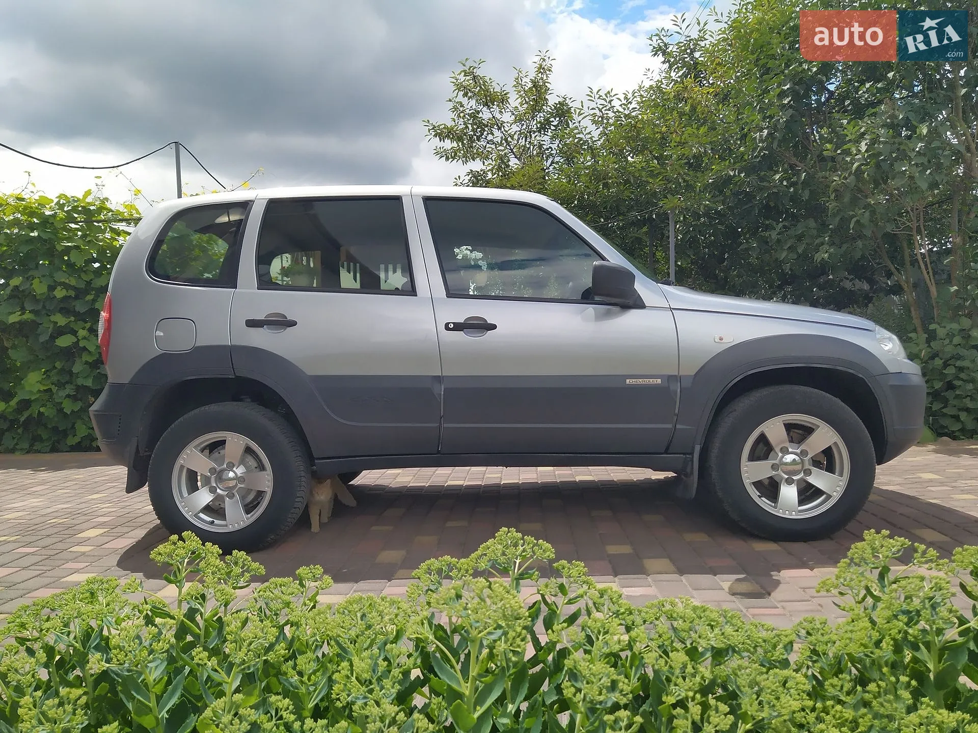 2016 Chevrolet Niva - мініатюра 13