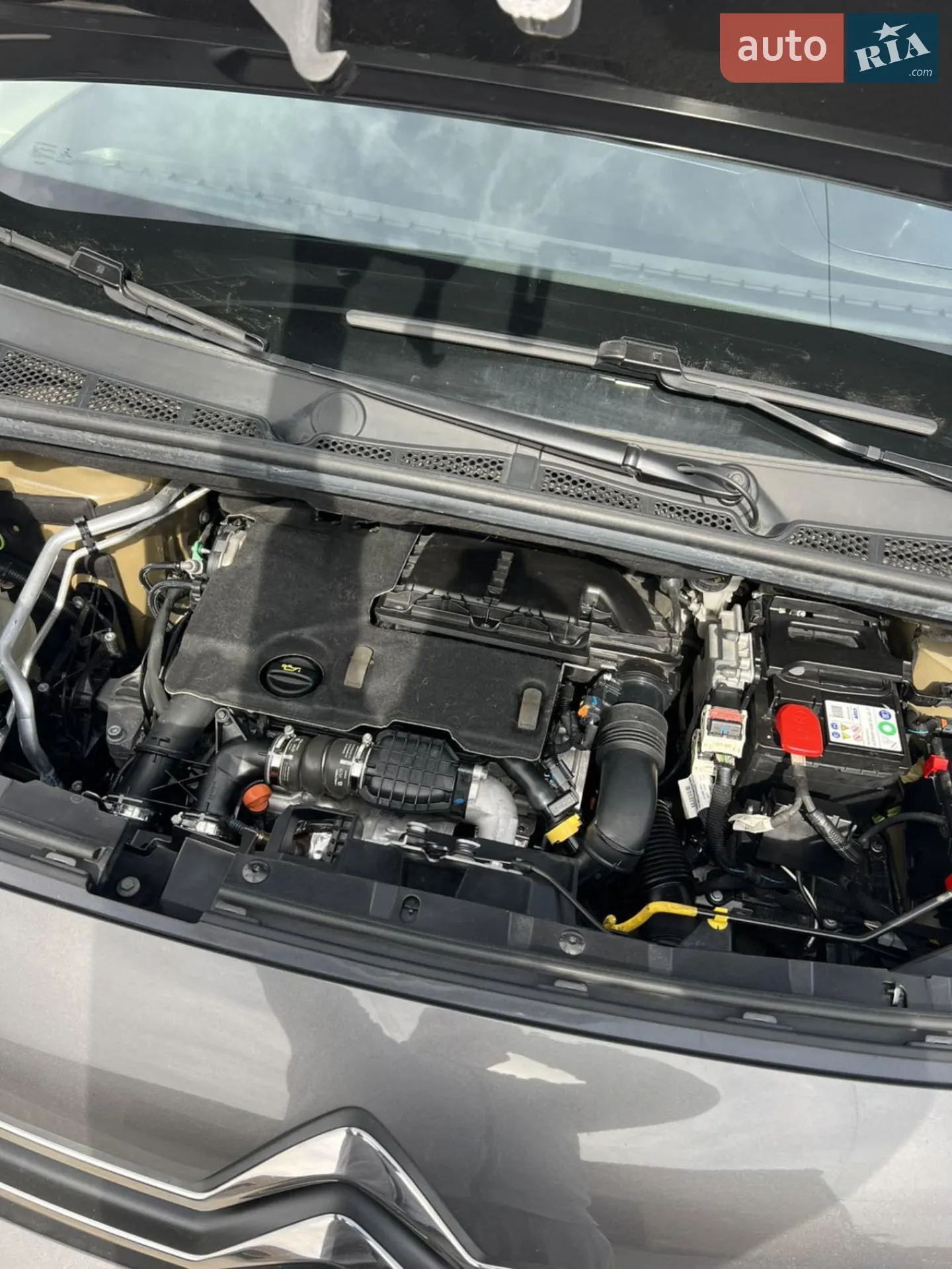 2019 Citroen Berlingo - мініатюра 11