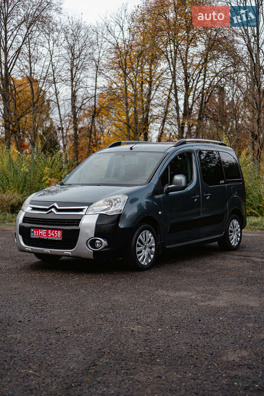 Citroen Berlingo 2010 Citroen Berlingo 2010