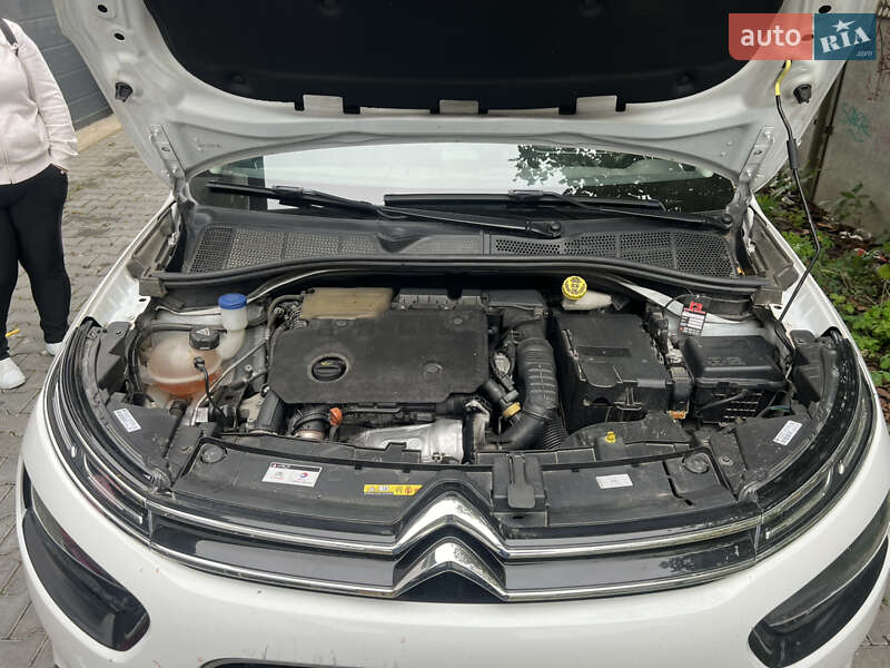 Позашляховик / Кросовер Citroen C4 Cactus 2019 в Івано-Франківську фото 13 Позашляховик / Кросовер Citroen C4 Cactus 2019 в Івано-Франківську