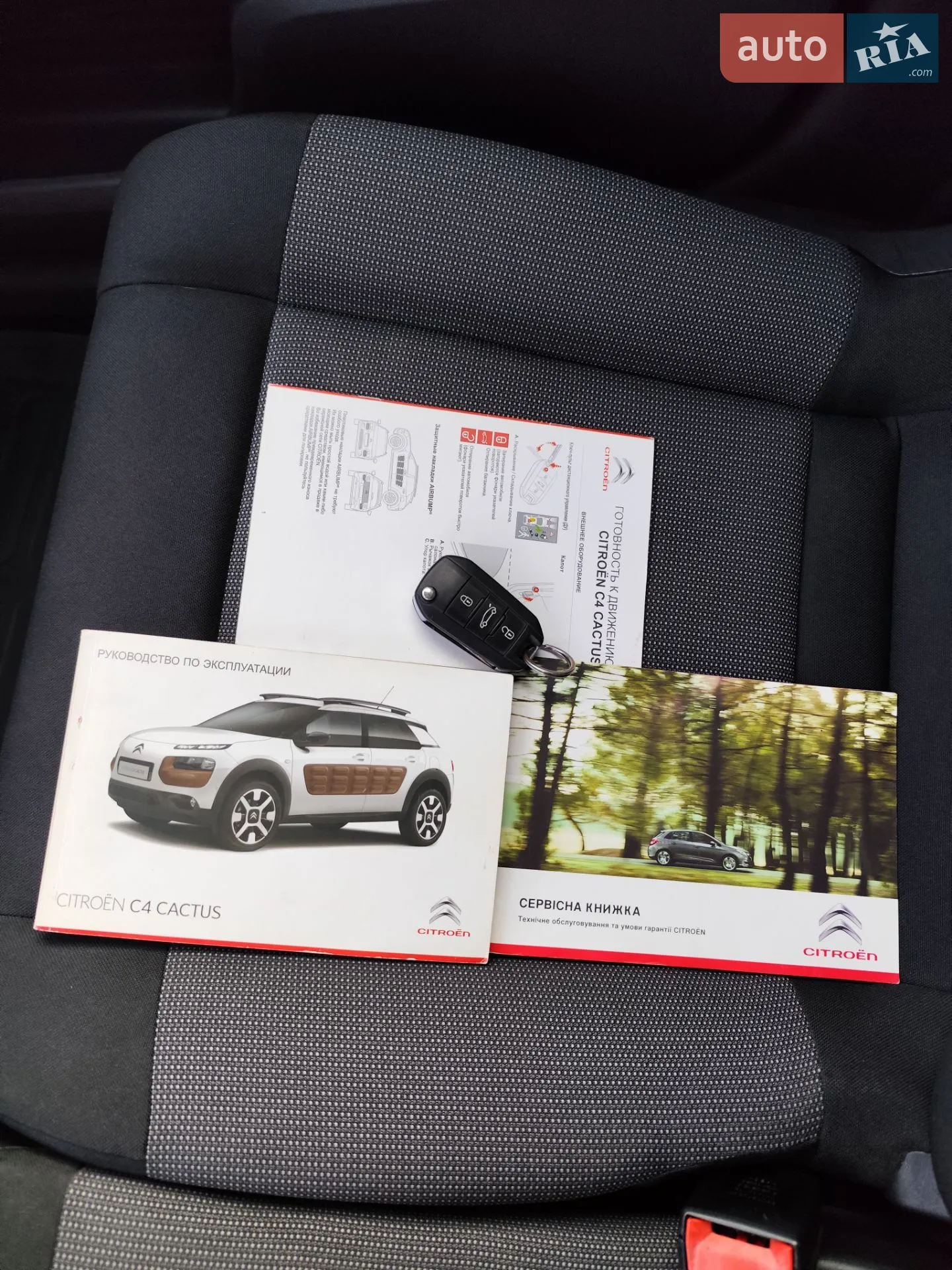 2015 Citroen C4 Cactus - мініатюра 46