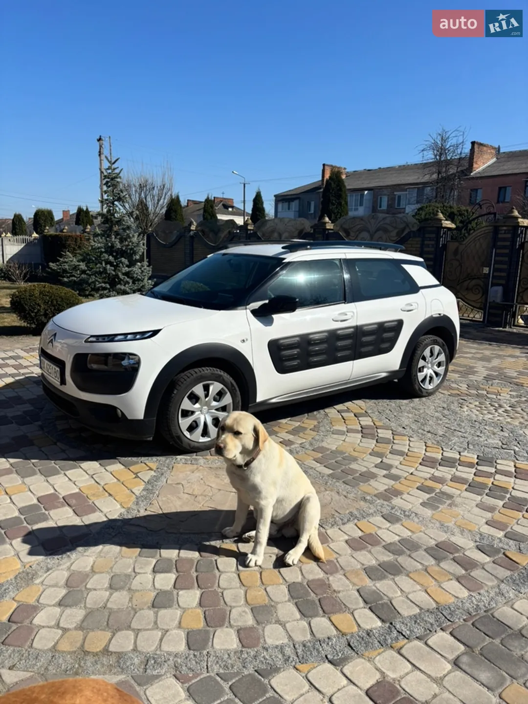 Citroen C4 Cactus 2015