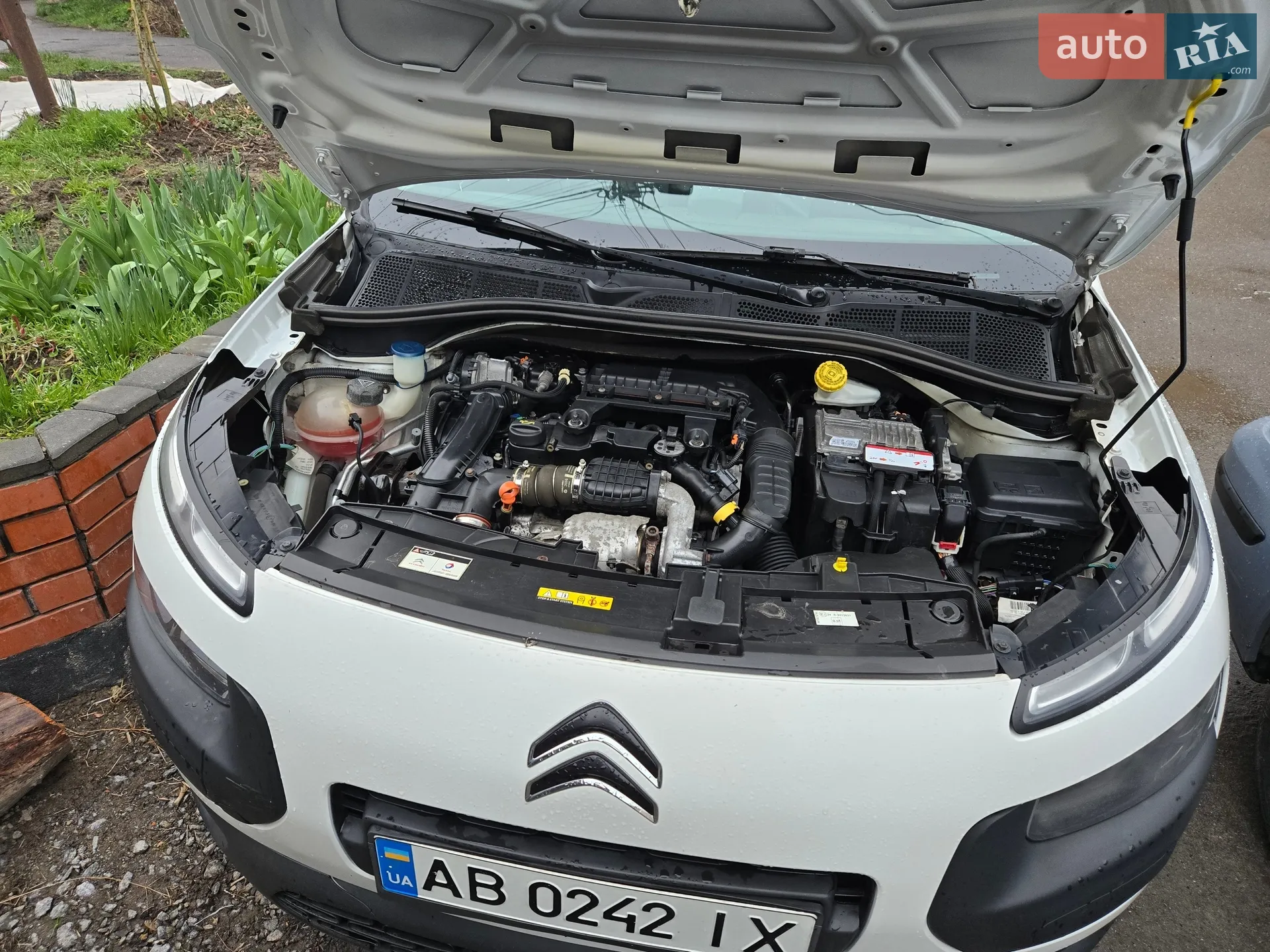 2014 Citroen C4 Cactus - мініатюра 14