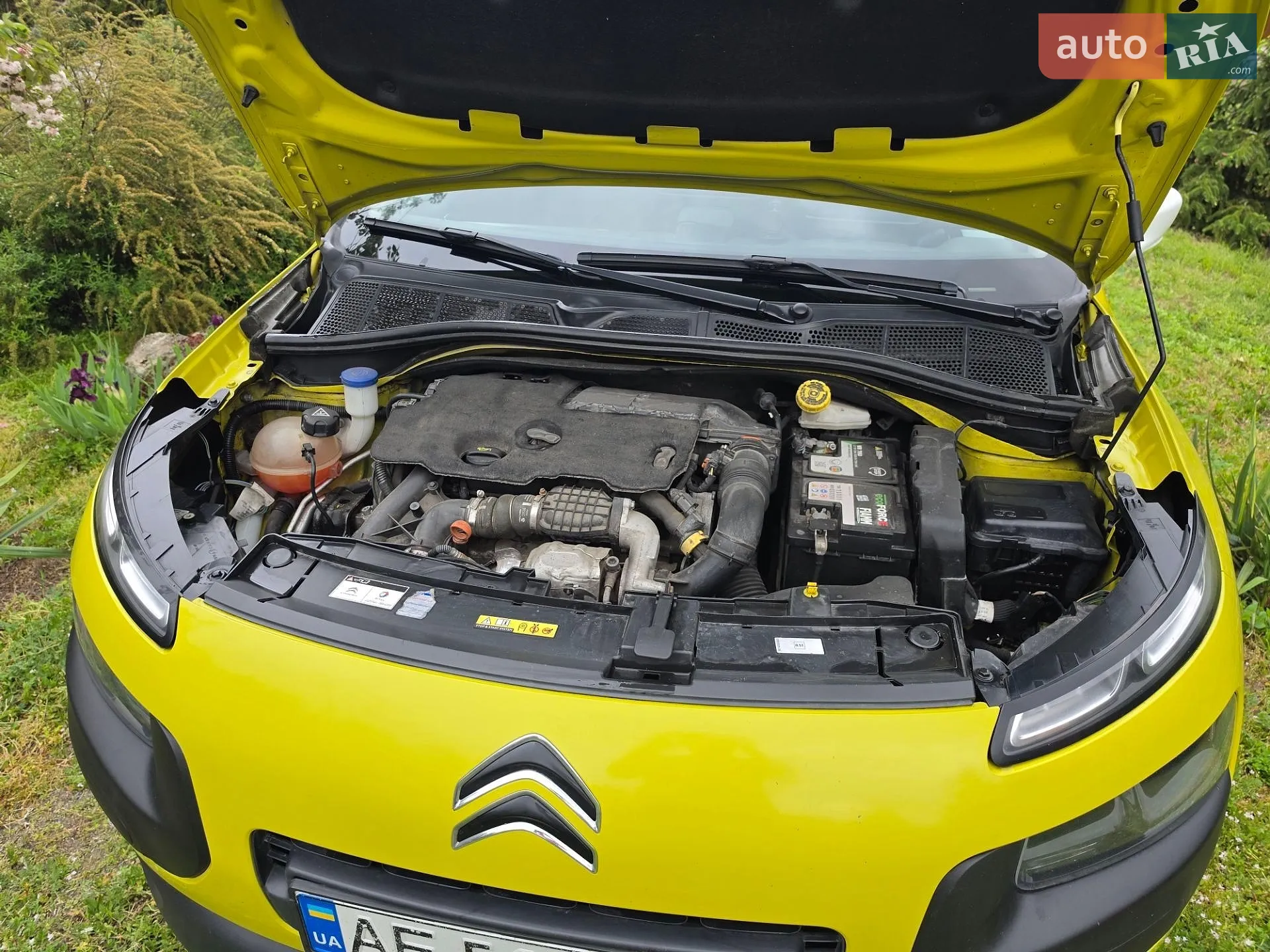 2016 Citroen C4 Cactus - мініатюра 7
