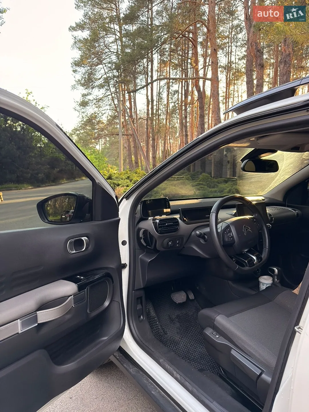 2019 Citroen C4 Cactus - мініатюра 5