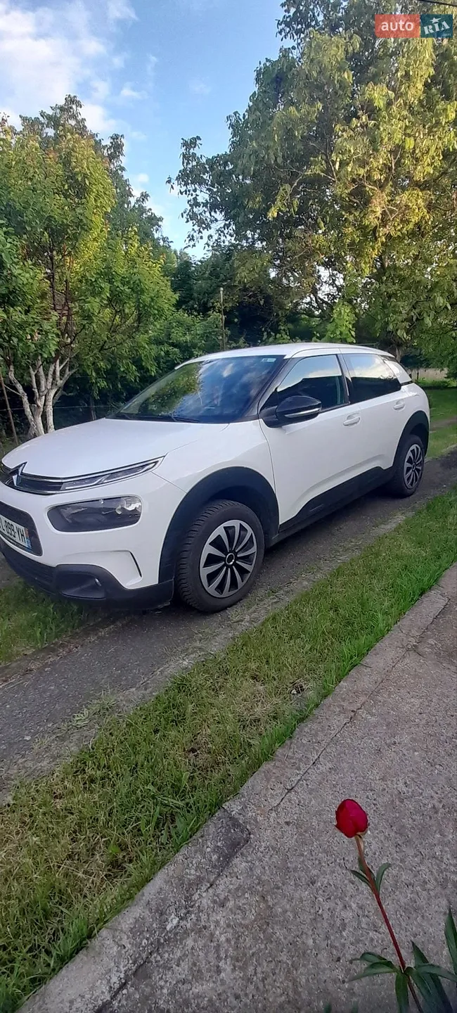 2019 Citroen C4 Cactus - мініатюра 11